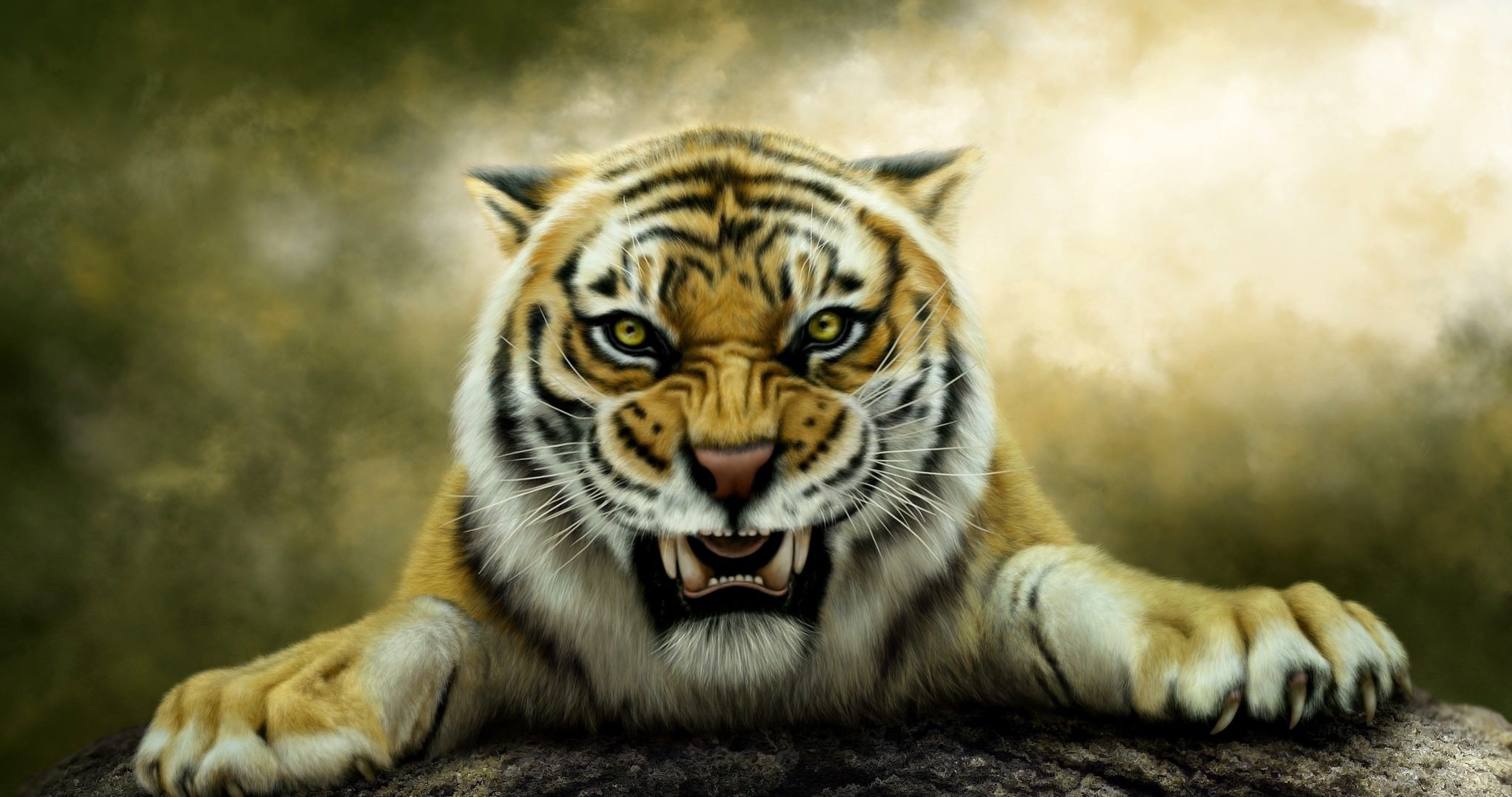 tiger photohop 4k ultra HD wallpaper High quality walls