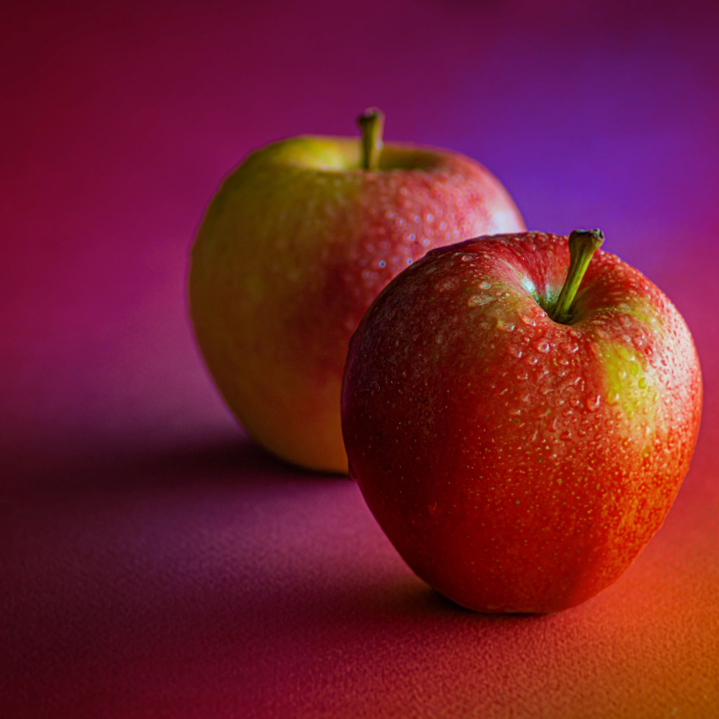 Red Apples 4K Wallpaper, Dew Drops, Water drops, Pair, Fruits, Healthy, Gradient background, 5K, Food