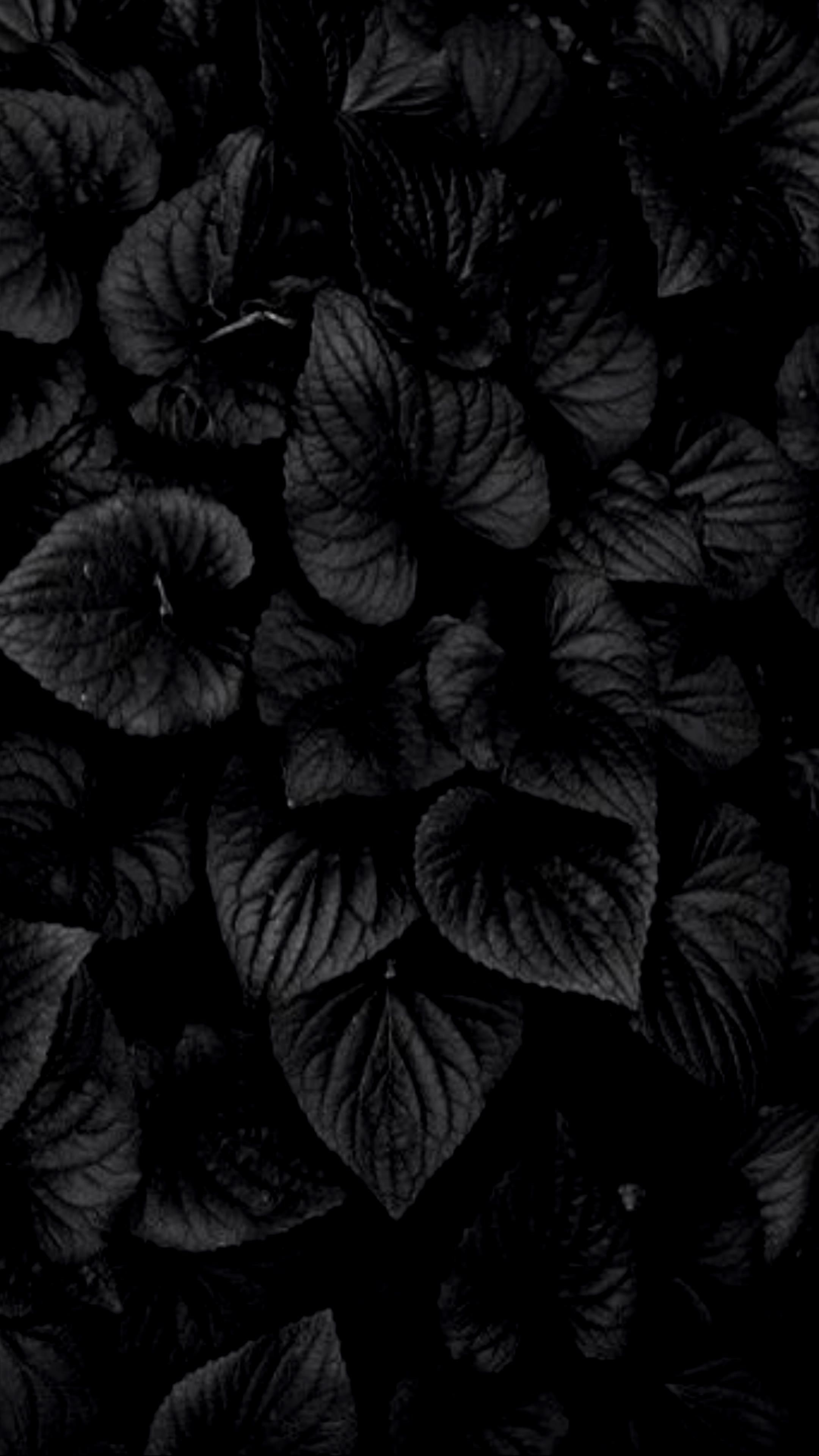 Aesthetic Black 4k Wallpapers - Wallpaper Cave