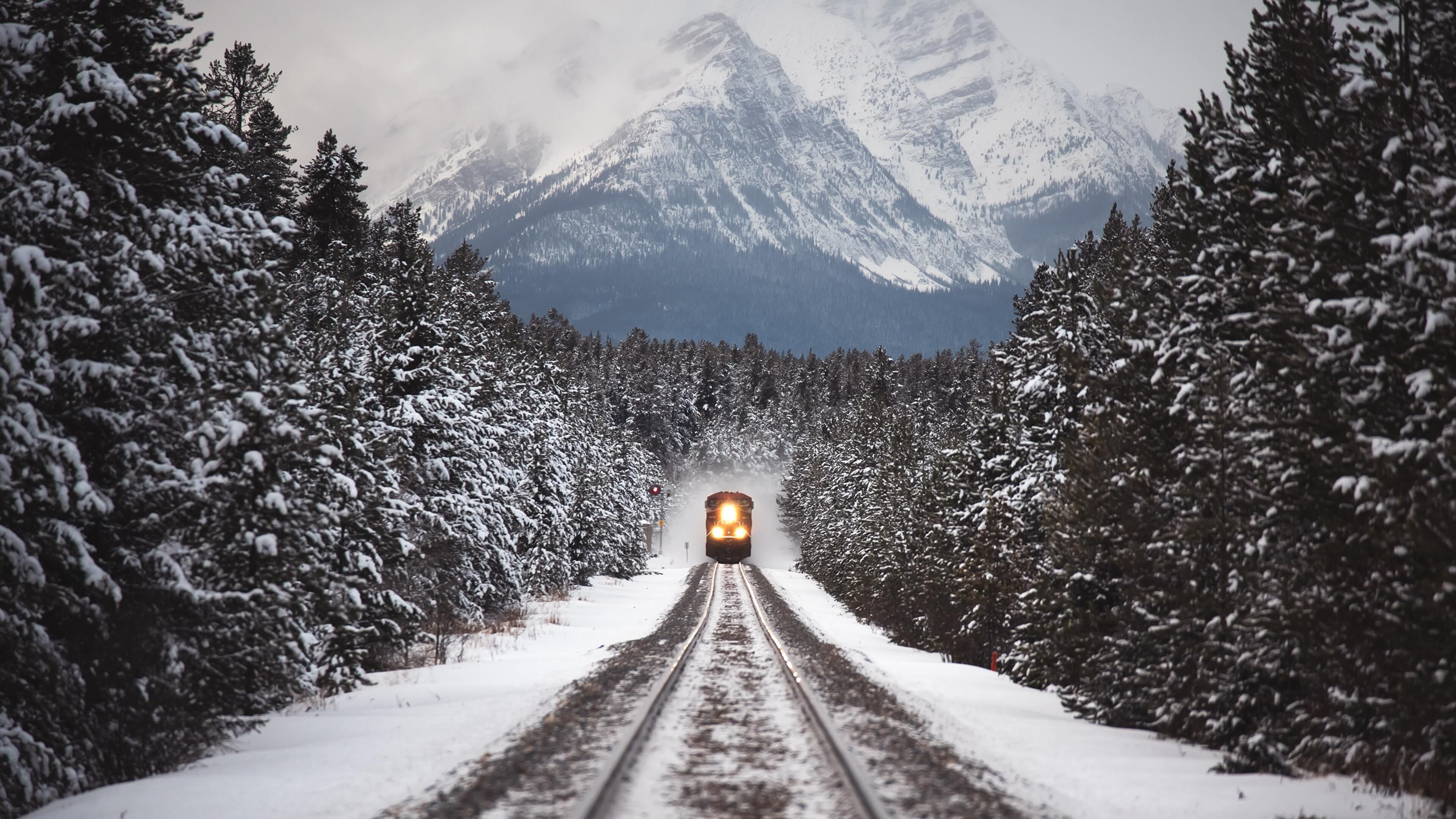 Snow on the Track. Winter travel, Train tracks, Train