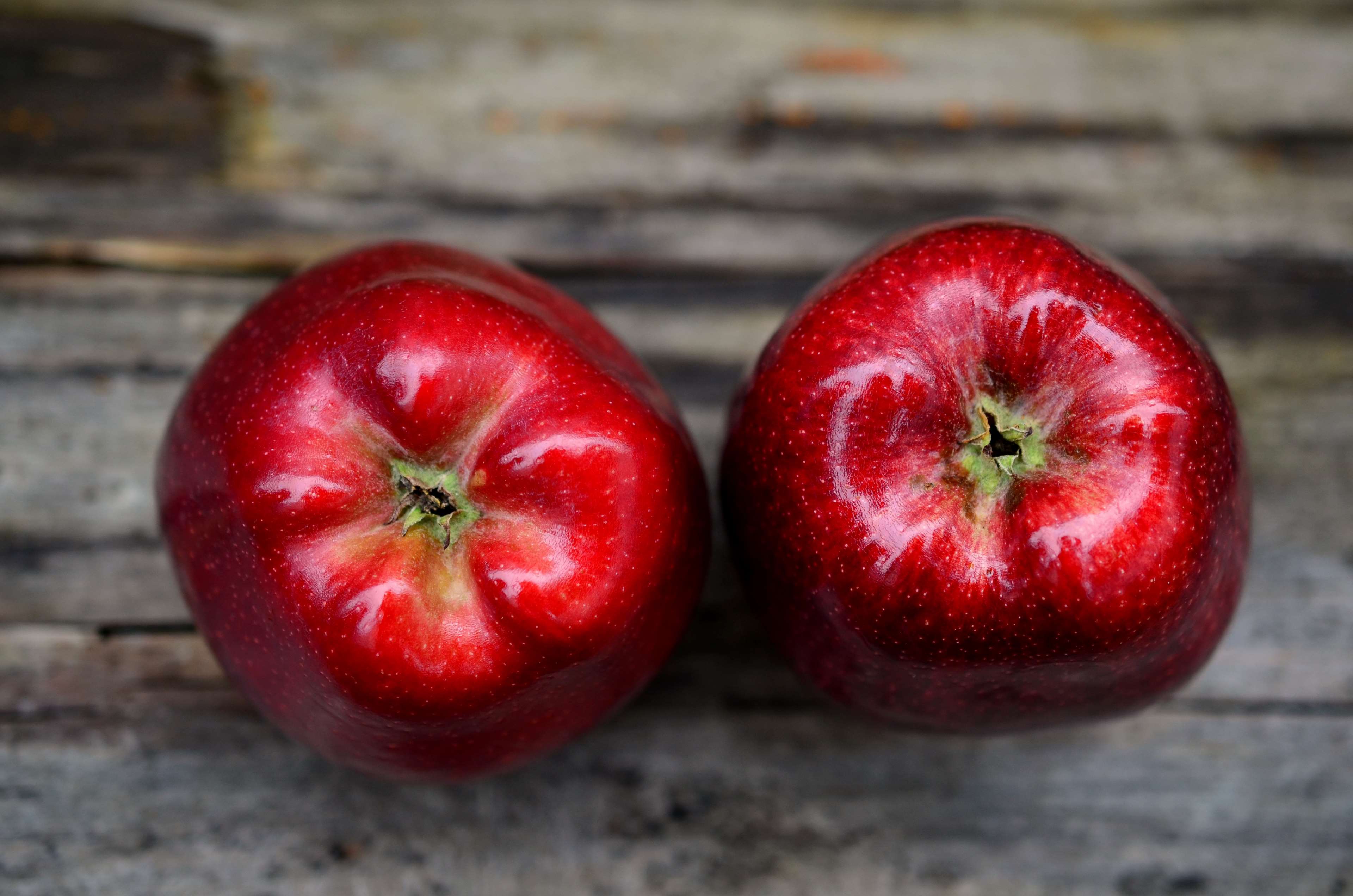 apples, food, fruits, healthy, raw, red, ripe 4k wallpaper
