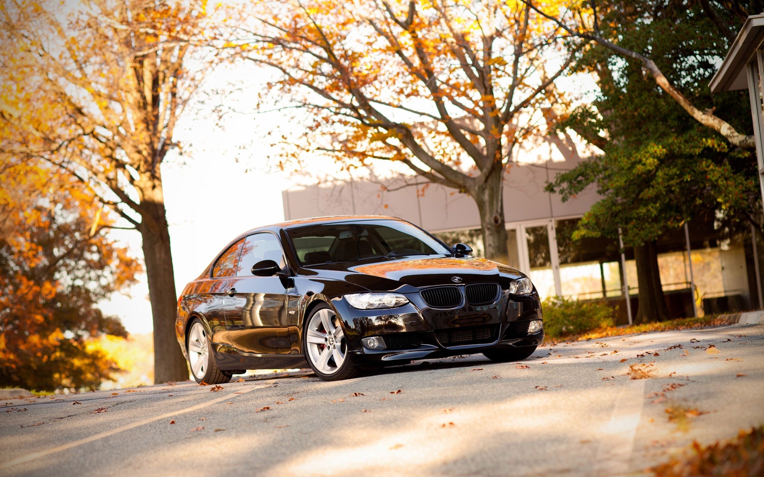 Bmw e90 wallpaper