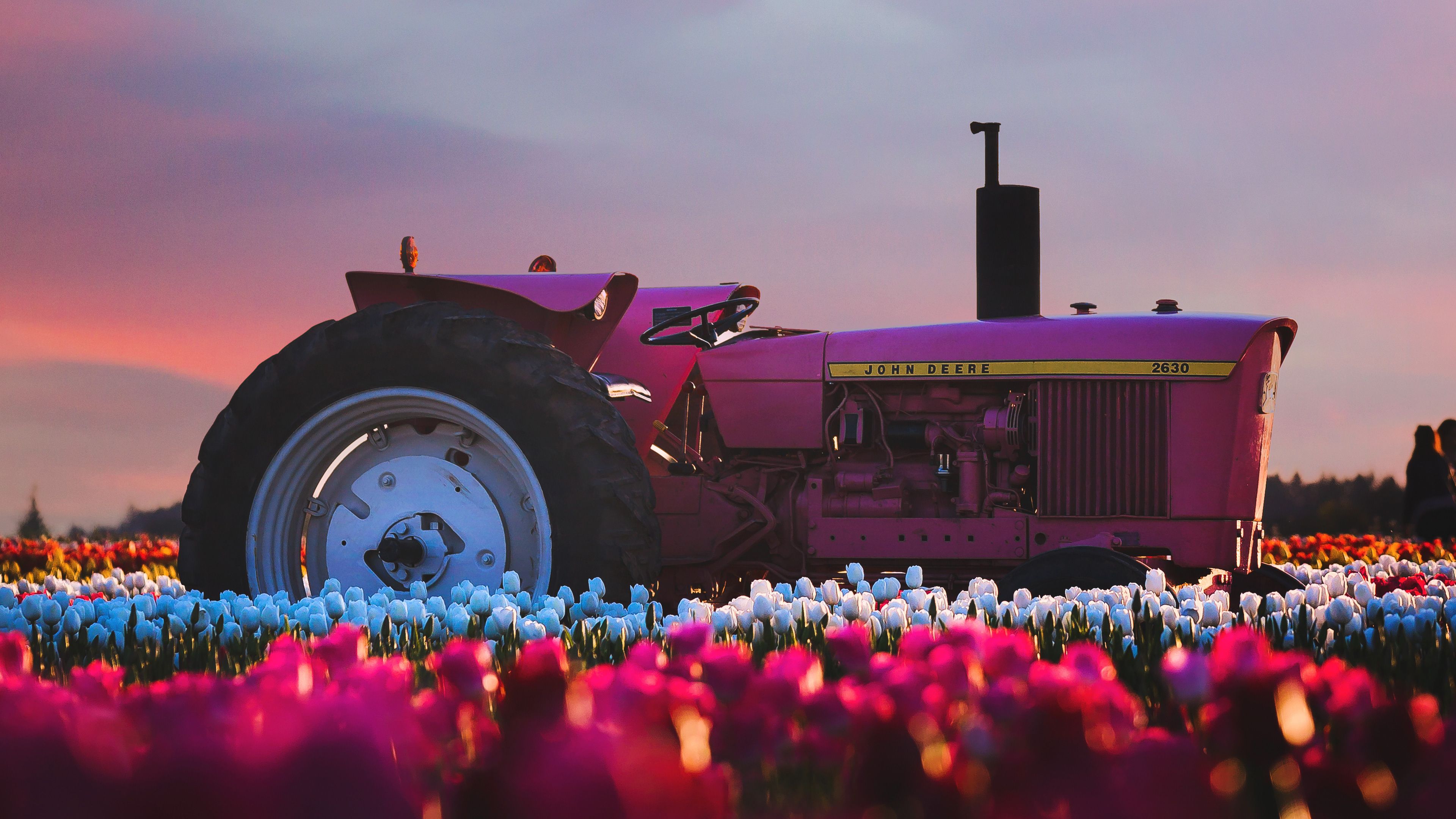 John Deere Tractor In Flower Farm 4k 4k HD 4k Wallpaper, Image, Background, Photo and Picture