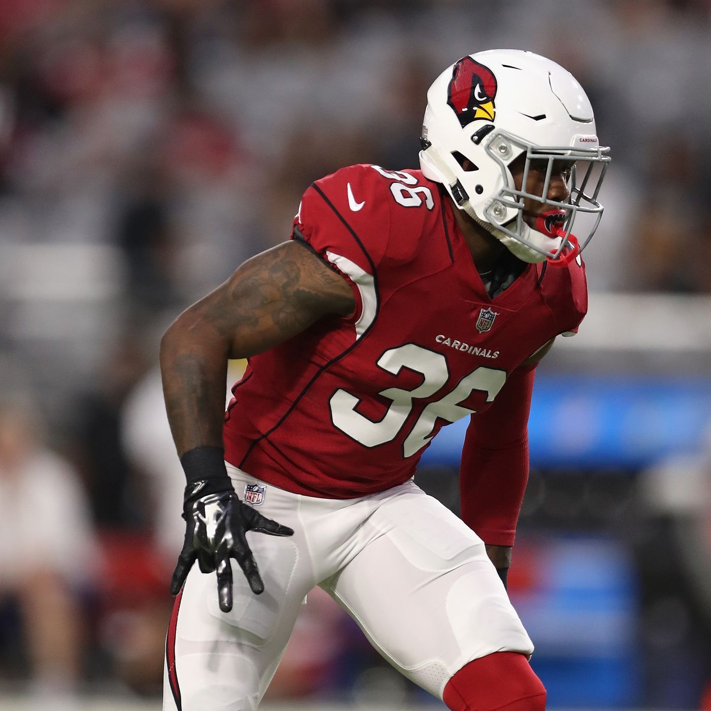 Five Questions With Revenge of the Birds: Budda Baker is a Tyrann Mathieu clone City Gridiron