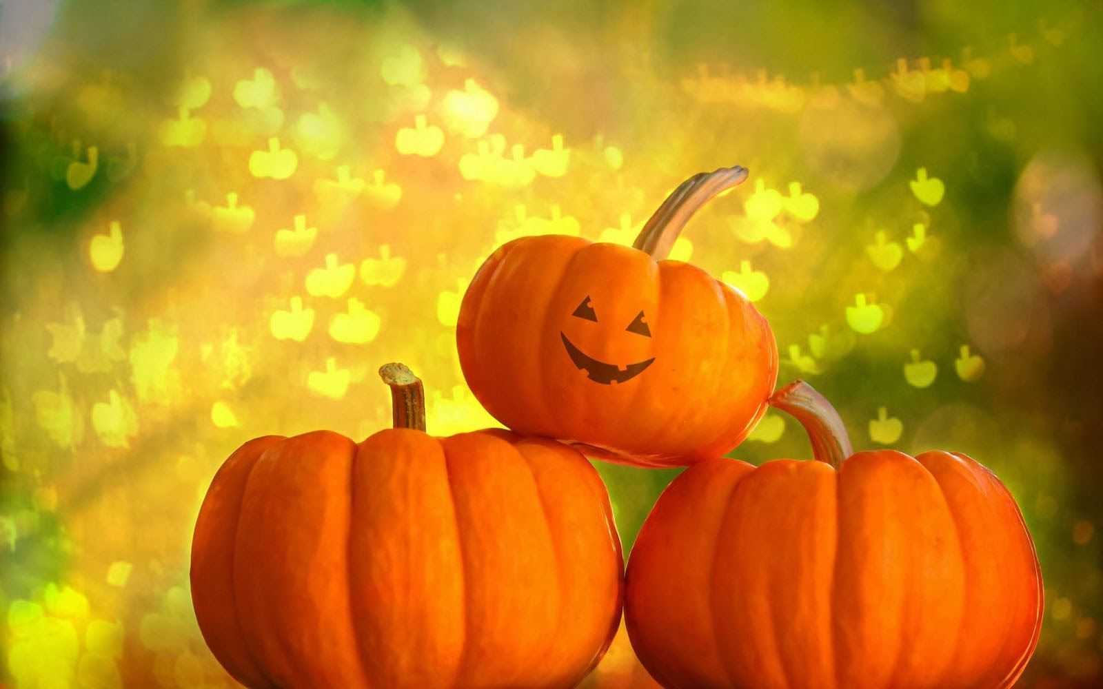 Pumpkin Wallpaper