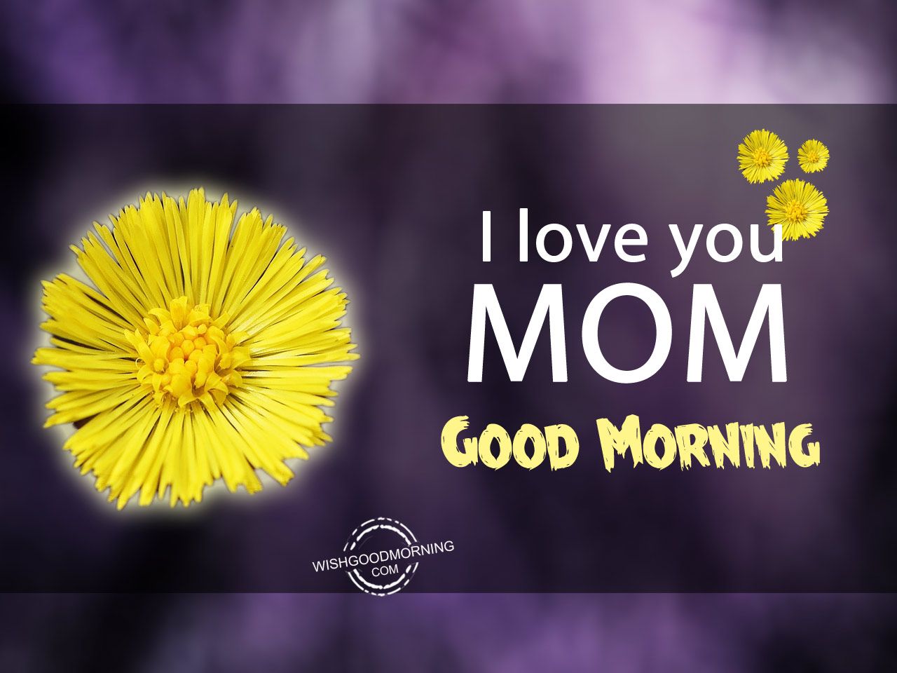 Beautiful Good Morning Mom Image