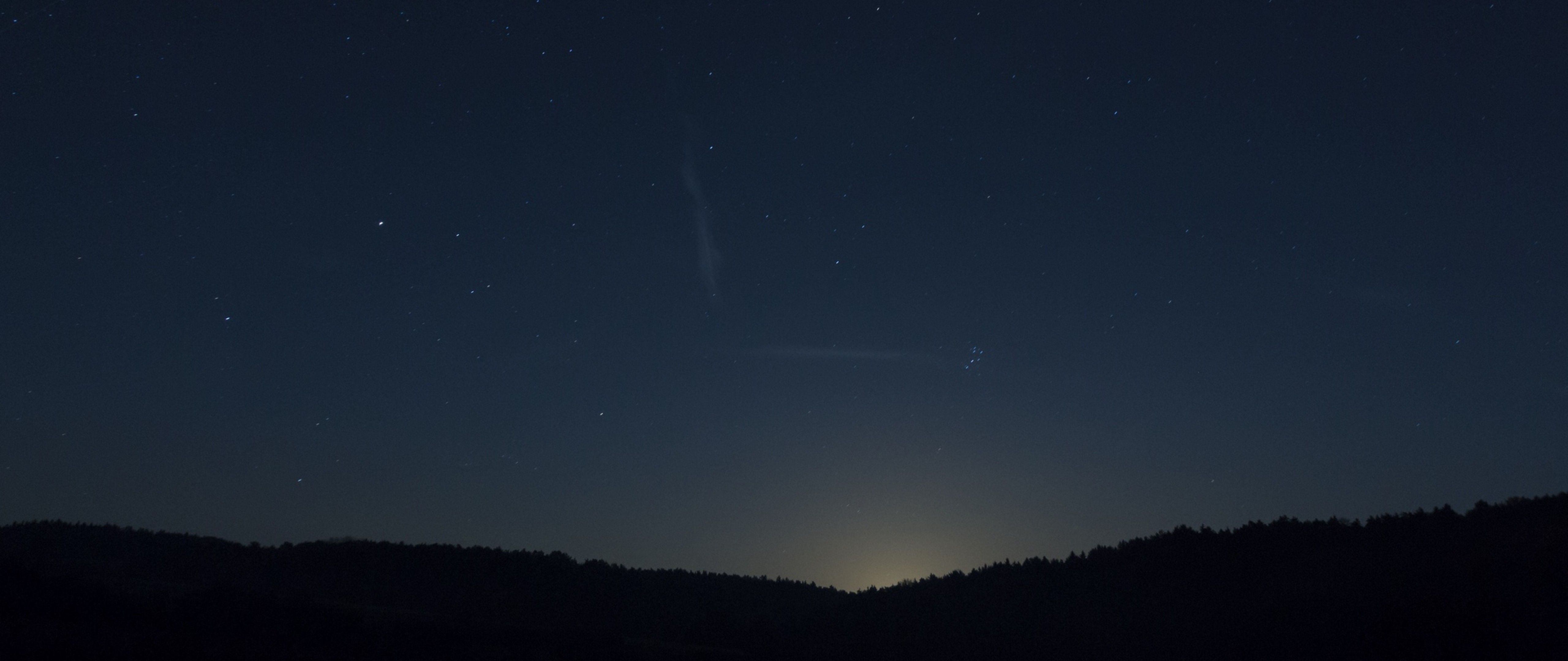Trees under a starry sky HD Wallpaper 4K Ultra HD Wide TV
