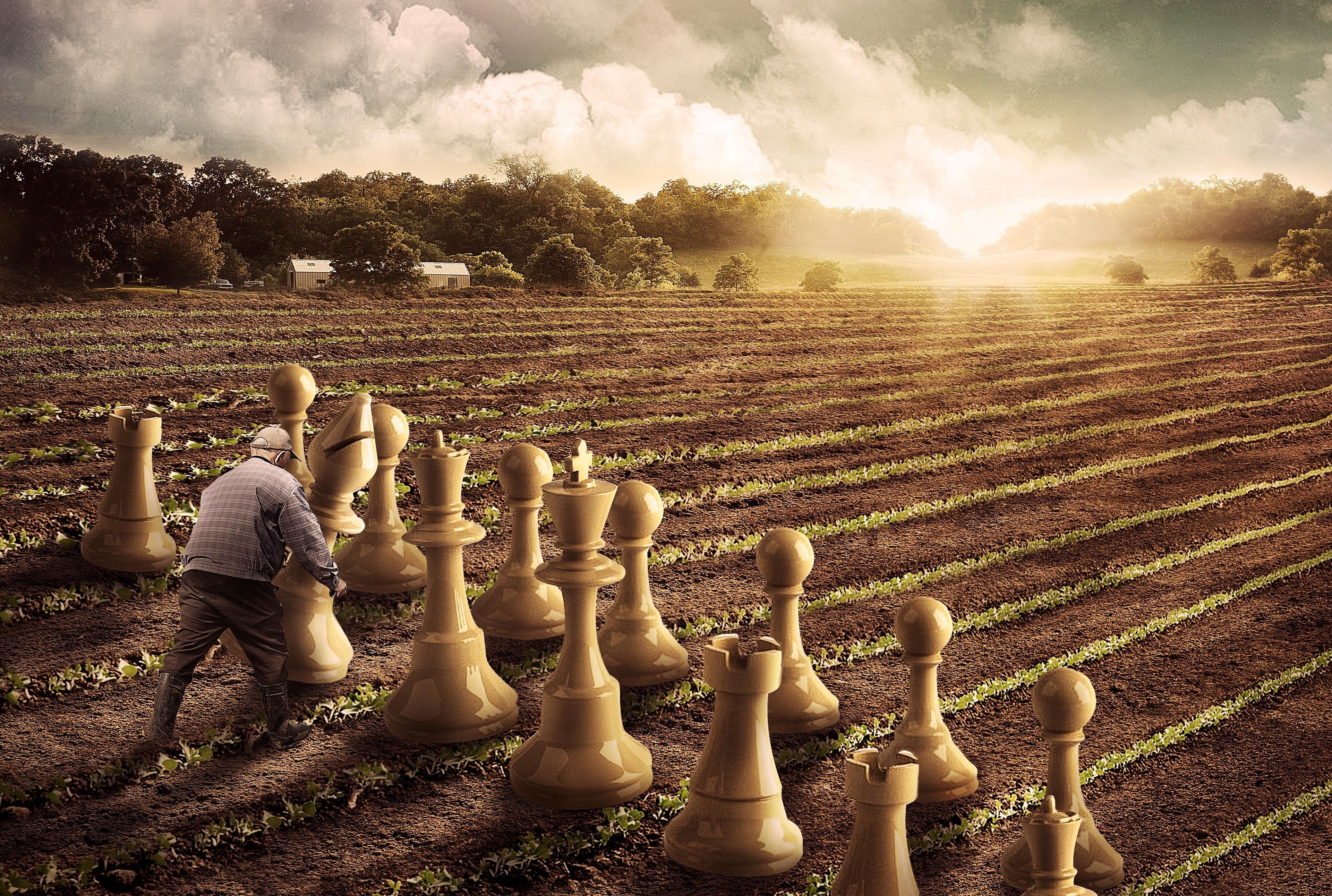 Golden chess wallpaper by sukhmeets111 - Download on ZEDGE™ | ed0c