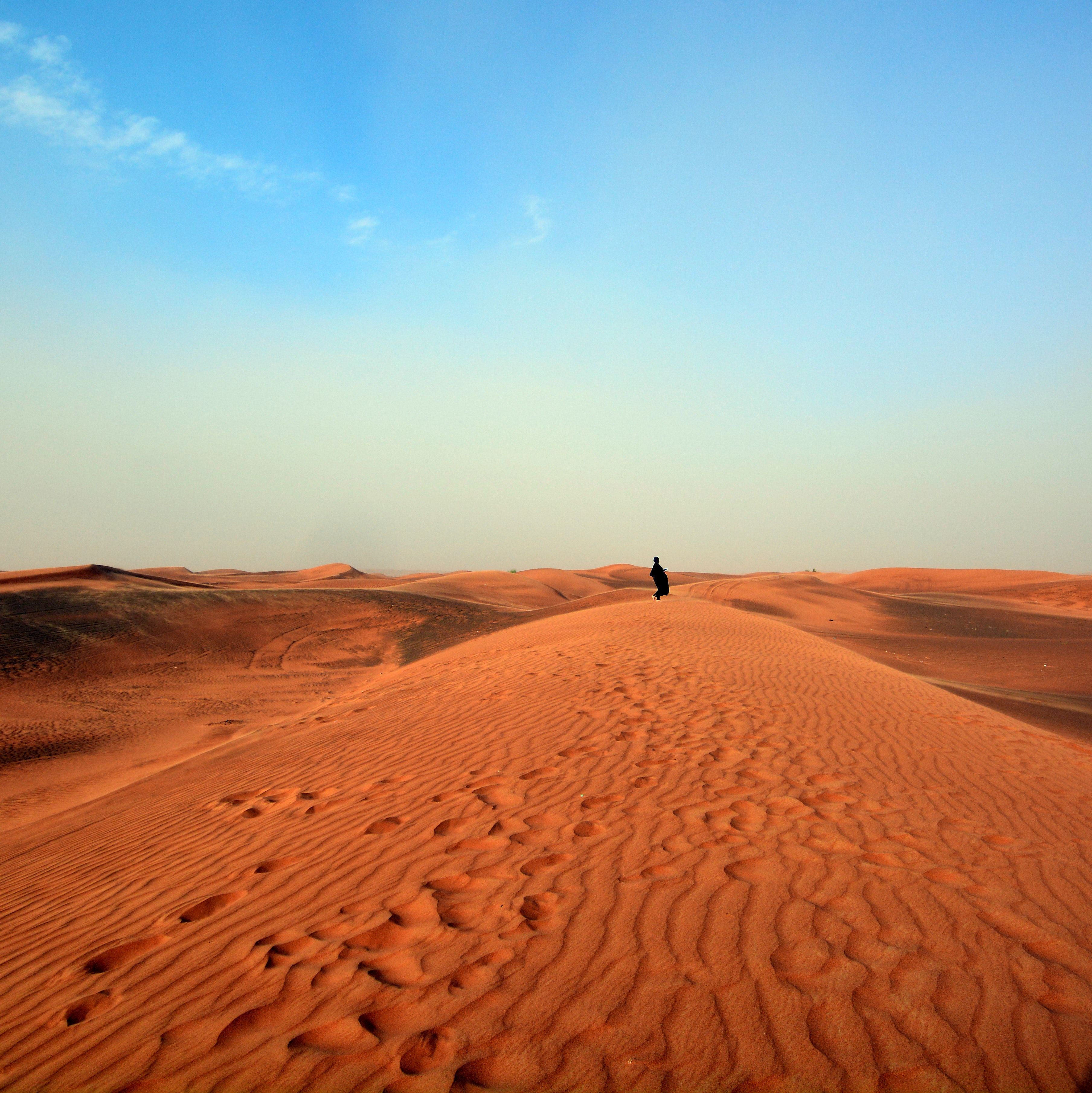 Free of desert, dubai, safari