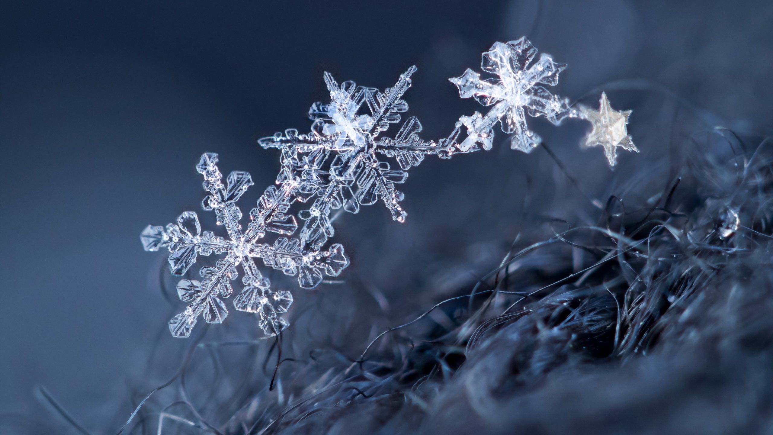 Wallpaper Ice crystal, snowflakes, winter 2560x1600 HD Picture, Image