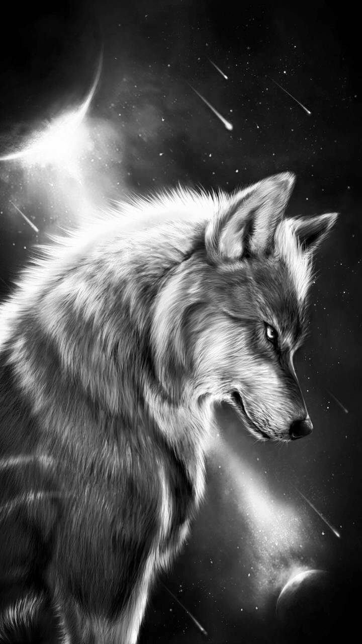 wolf pictures black and white