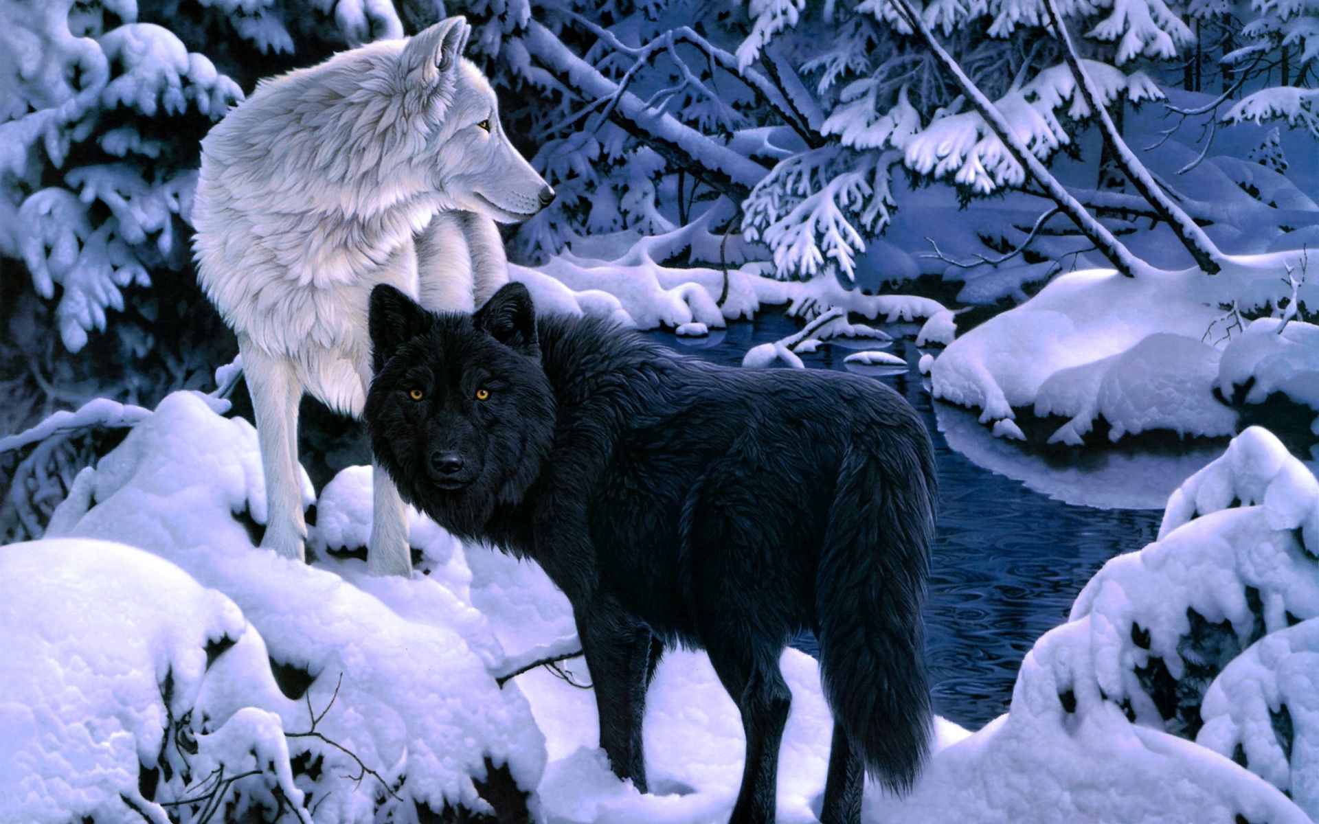 Dark Black And White Wolf