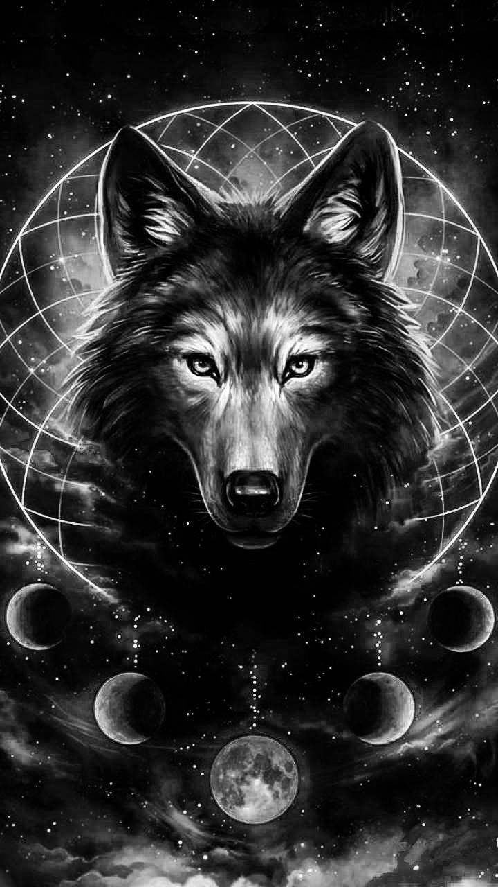 Black white wolf wallpaper