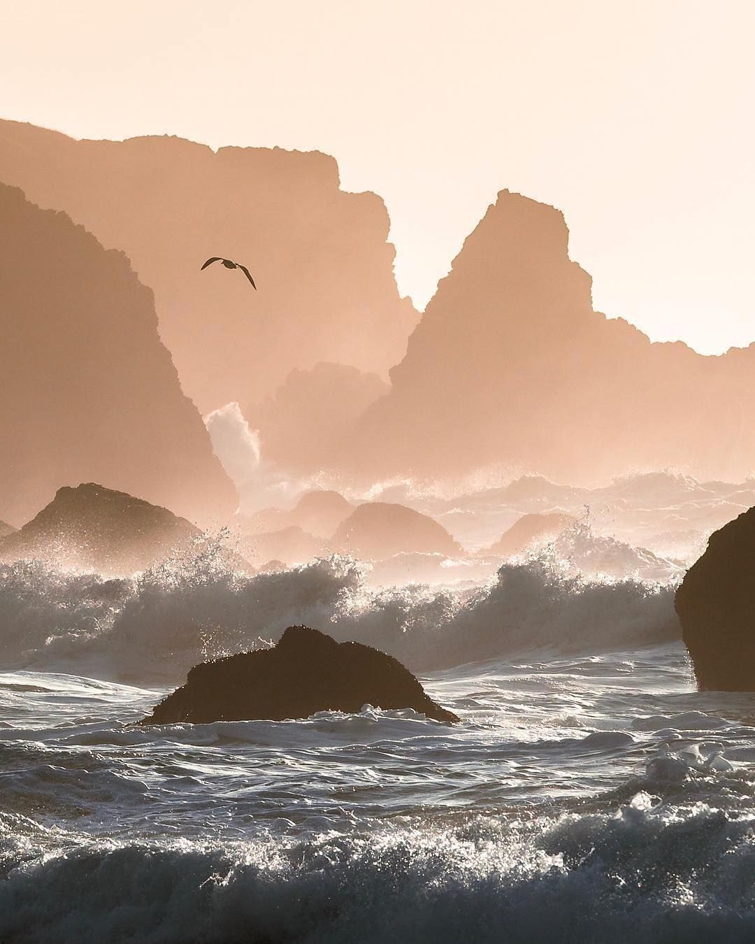 Rocky Coastline of Oregon