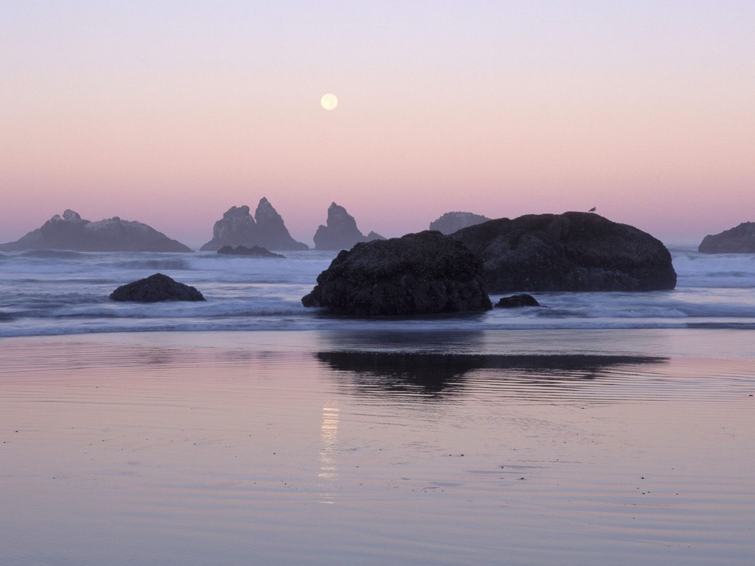 Oregon Coast Wallpaper