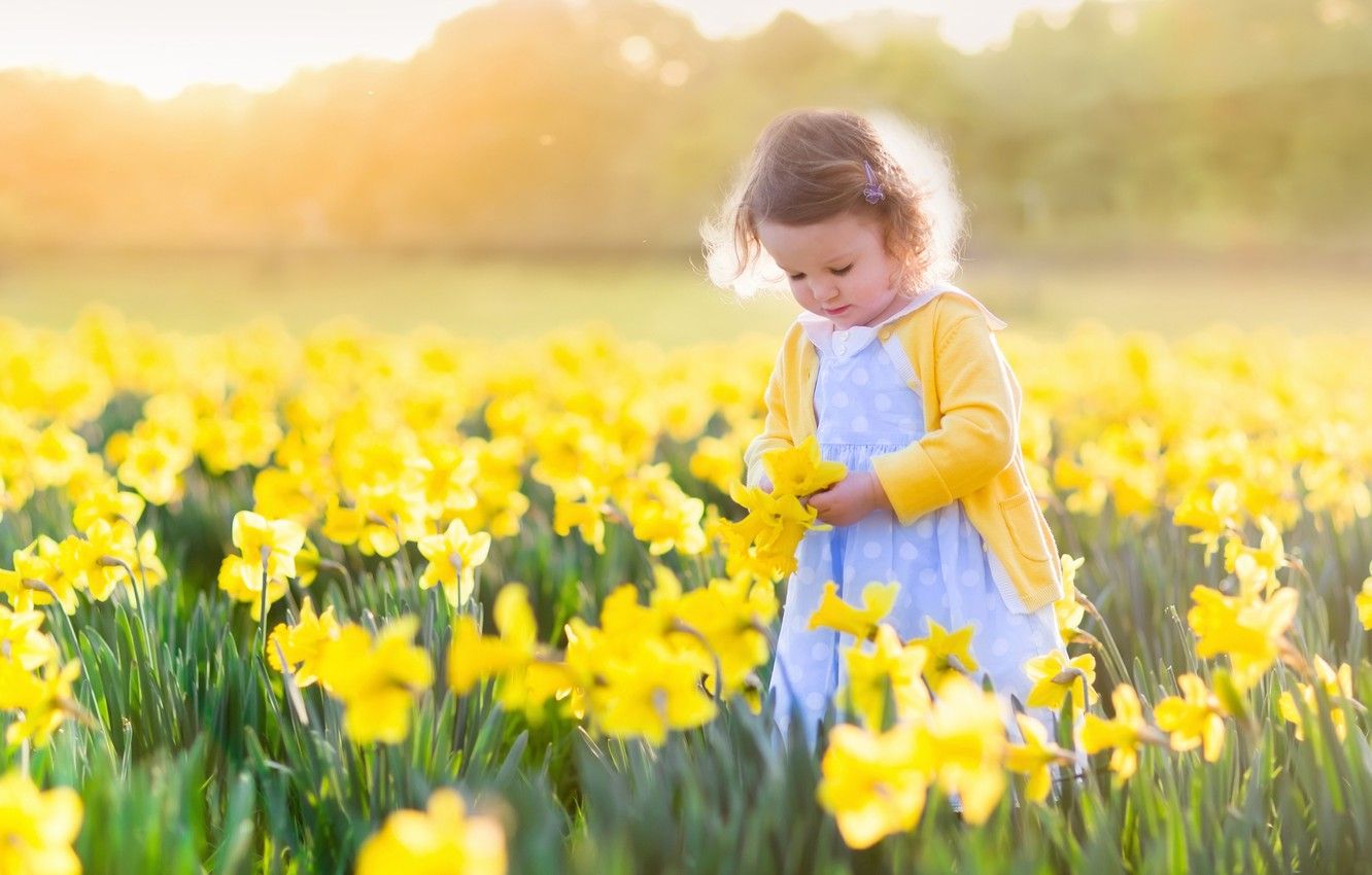 Wallpaper field, the sun, flowers, child, girl, fields, daffodils, little girls, daffodils image for desktop, section настроения