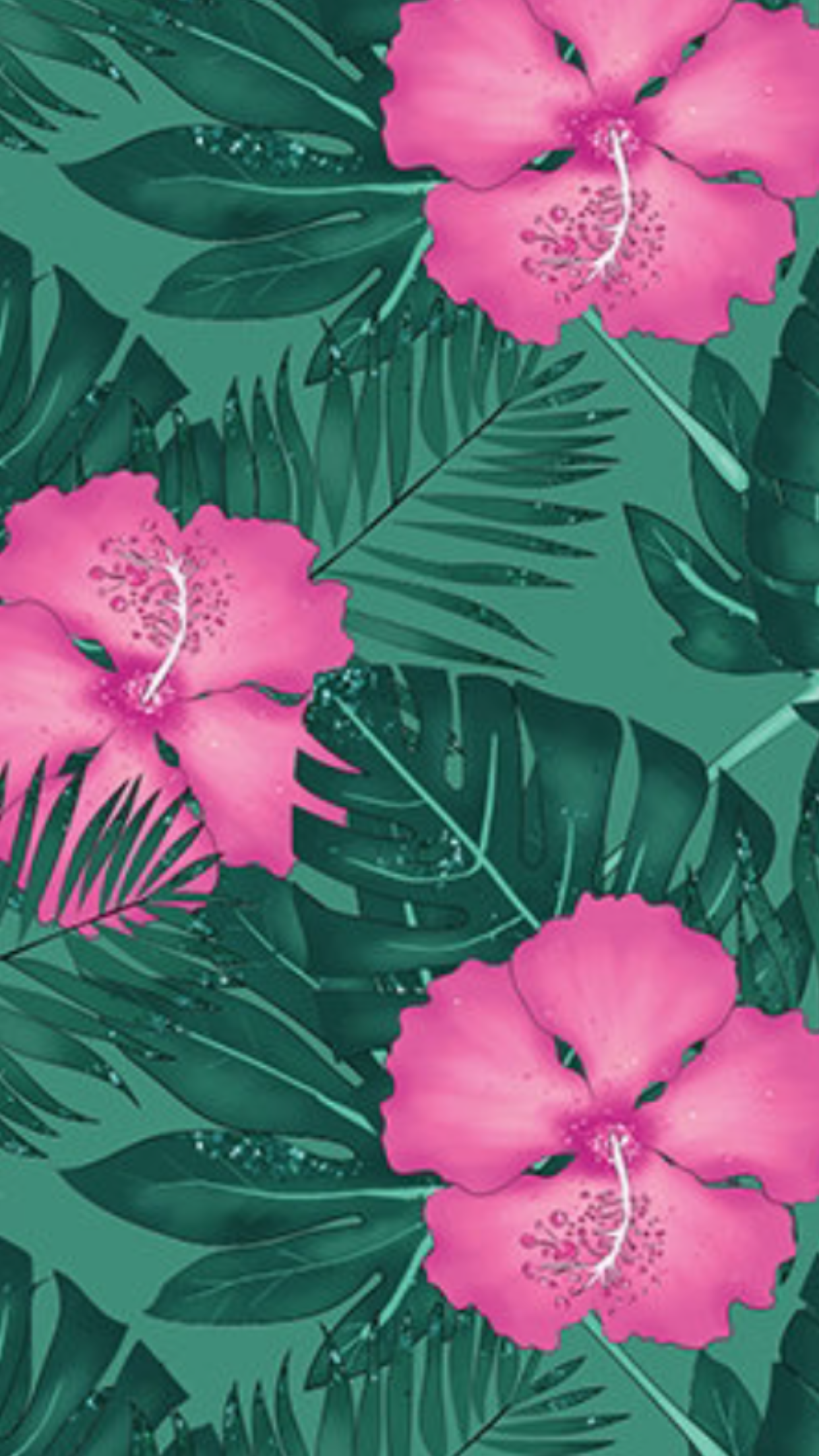 Pink and Orange Hibiscus Flower iPhone Wallpaper