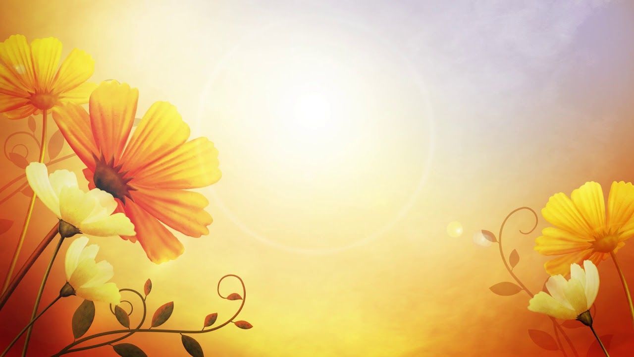 Cartoon, afternoon, sunshine, flowers, yellow kids photography&video bac. Flower background, Background picture, Background image