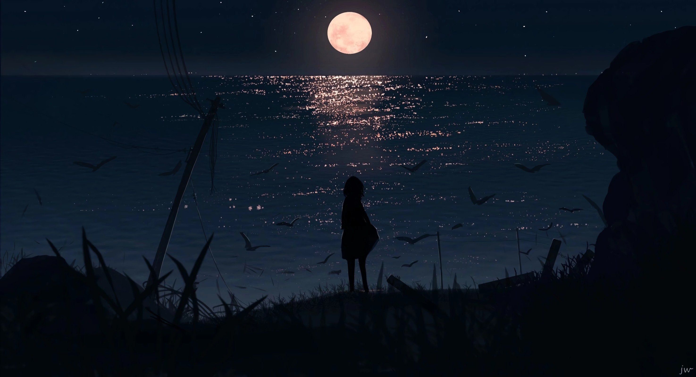 Wallpaper, anime girls, sea, Moon, silhouette, grass 2950x1600
