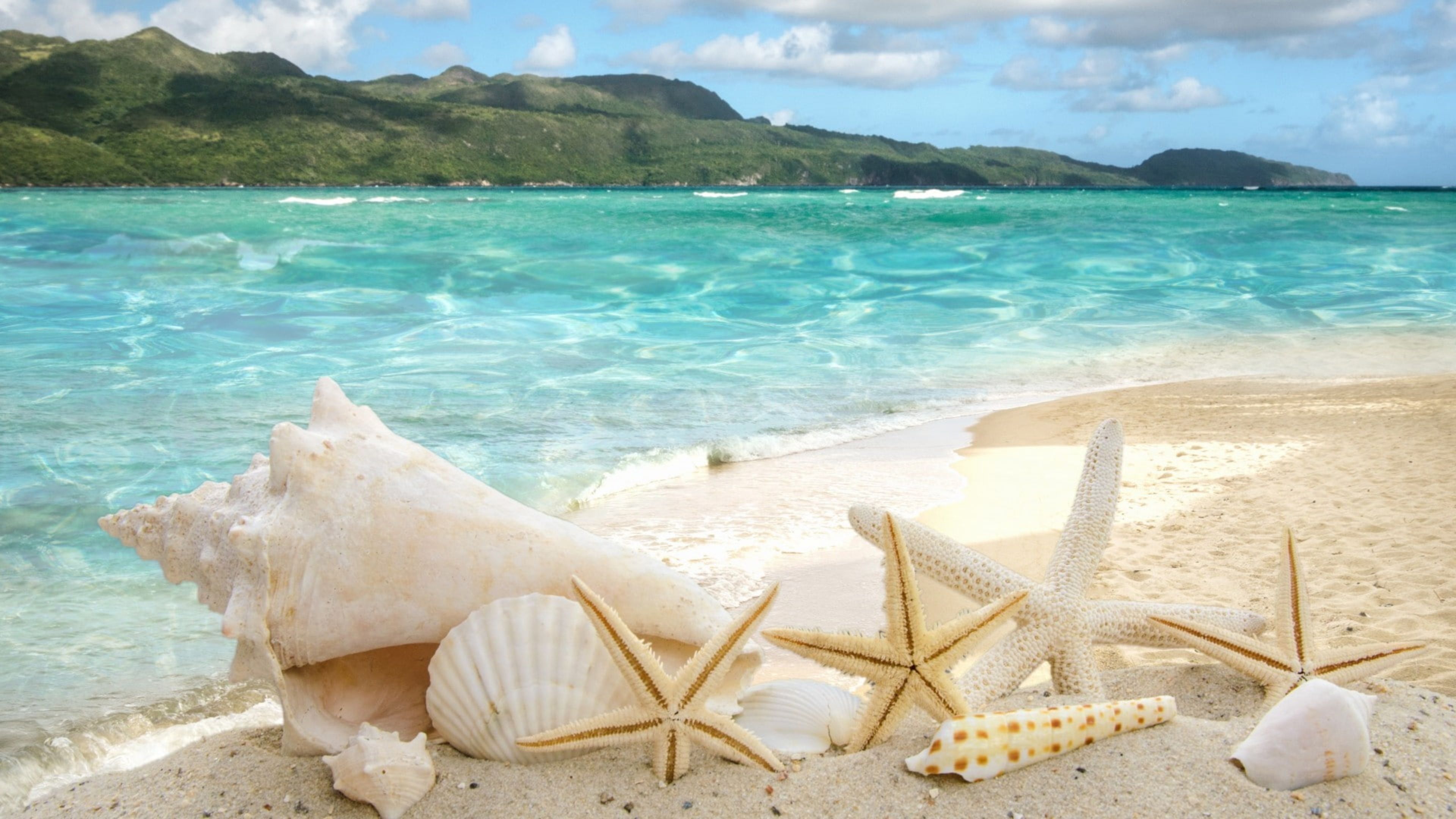 Vacation HD Wallpaper & Background