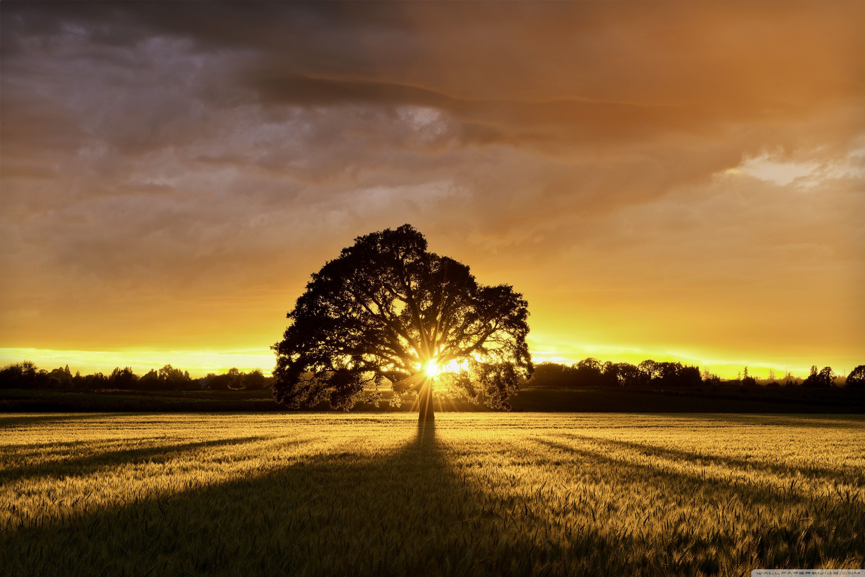 Summer Landscape Ultra HD Desktop Background Wallpaper for: Multi Display, Dual Monitor, Tablet