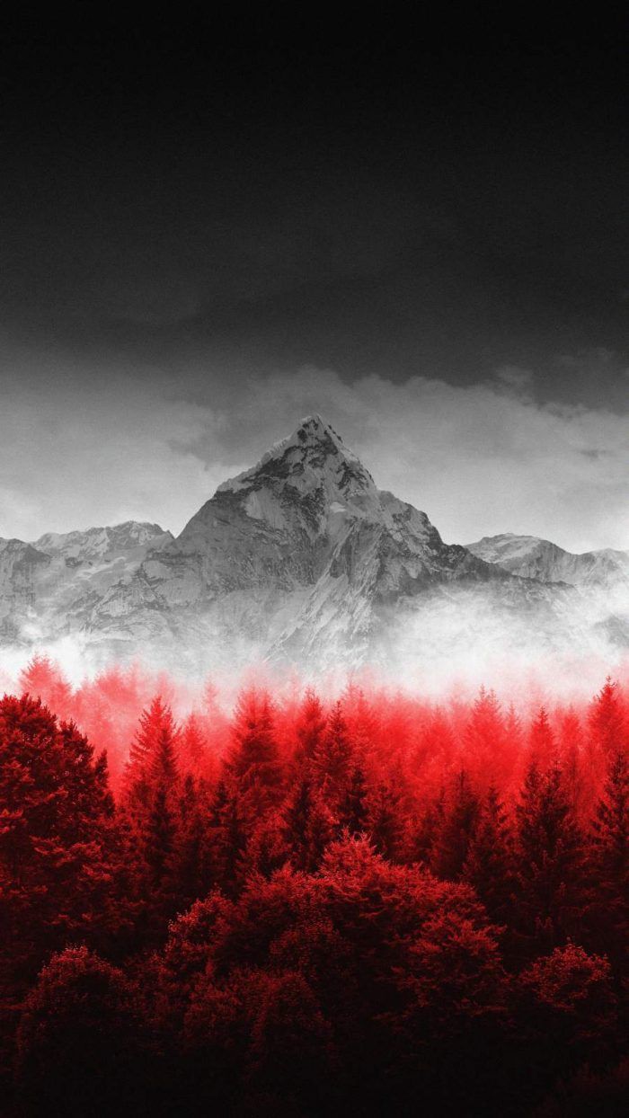 Red Forest Mountain Wallpaper 4K of Wallpaper for Andriod