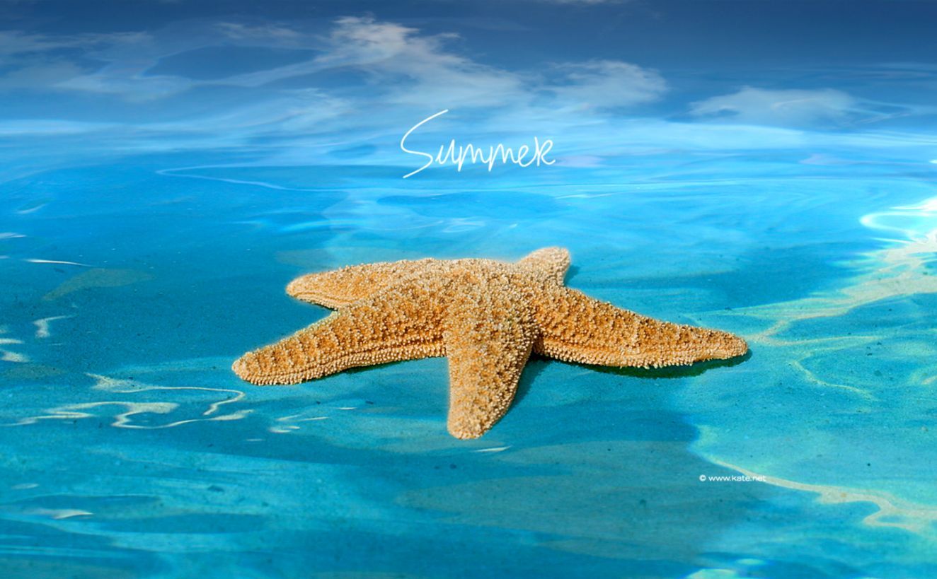 Free download Summer 3D Graphic Design Wallpaper HD Views Wallpaper [1324x819] for your Desktop, Mobile & Tablet. Explore Summer Desktop Wallpaper. Free Summer Wallpaper For Desktop, Free Summer Wallpaper