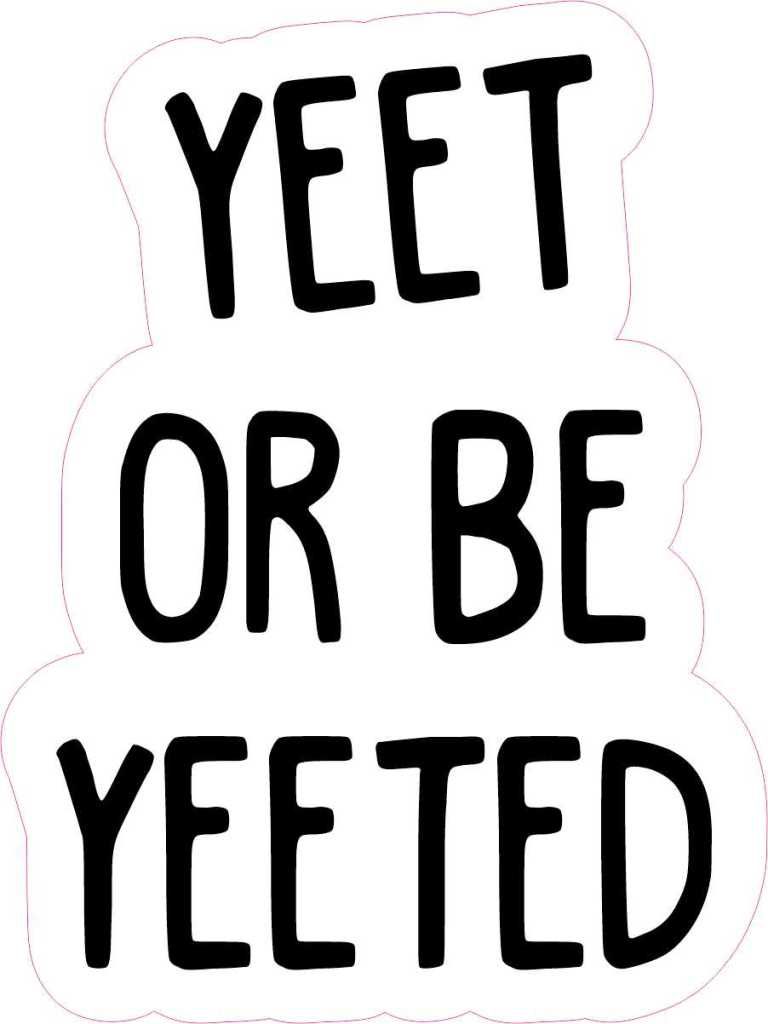 3in x 4in Yeet or Be Yeeted Vinyl Sticker. Black and white stickers, Vinyl sticker, Hydroflask stickers