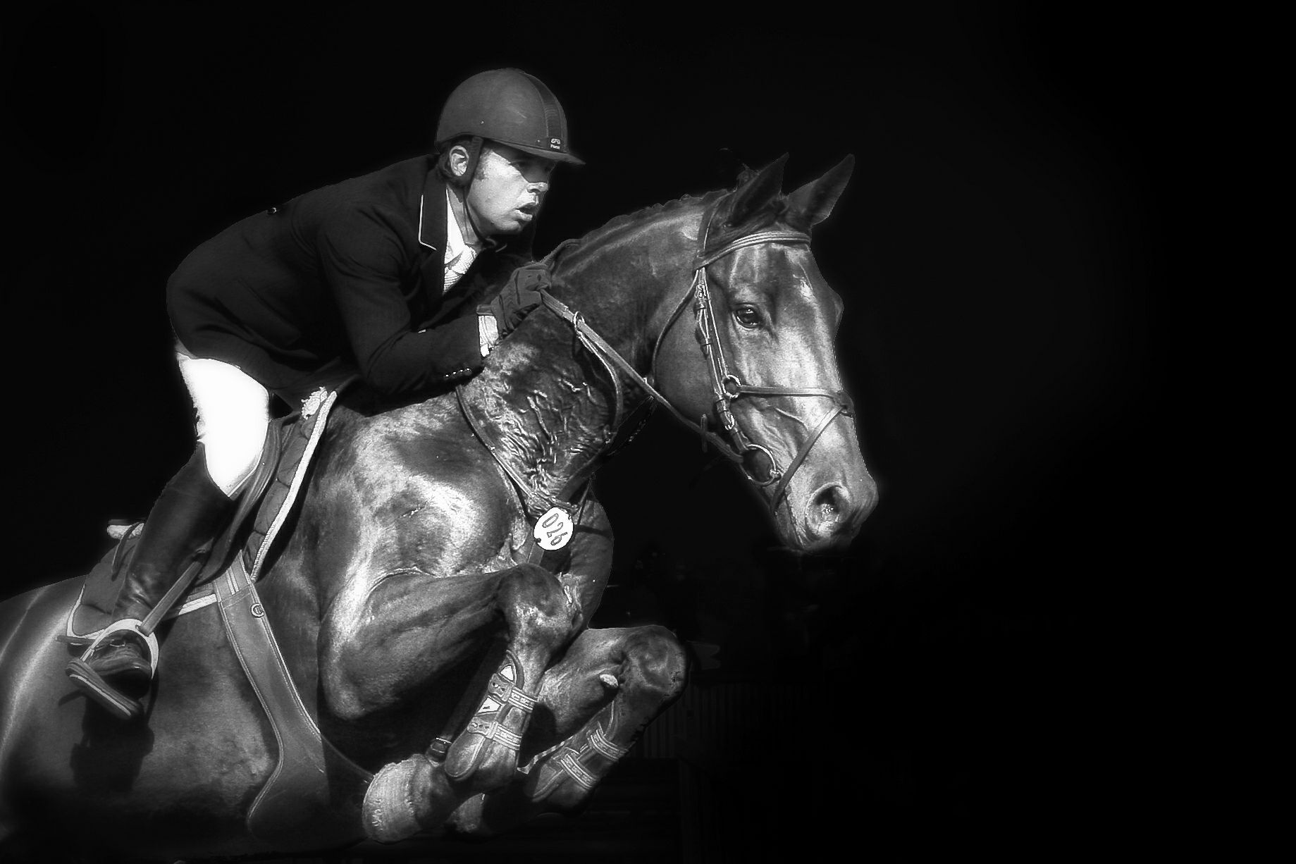 Wallpaper, horse, cheval, jumping, Chantilly, showjumping 1839x1226