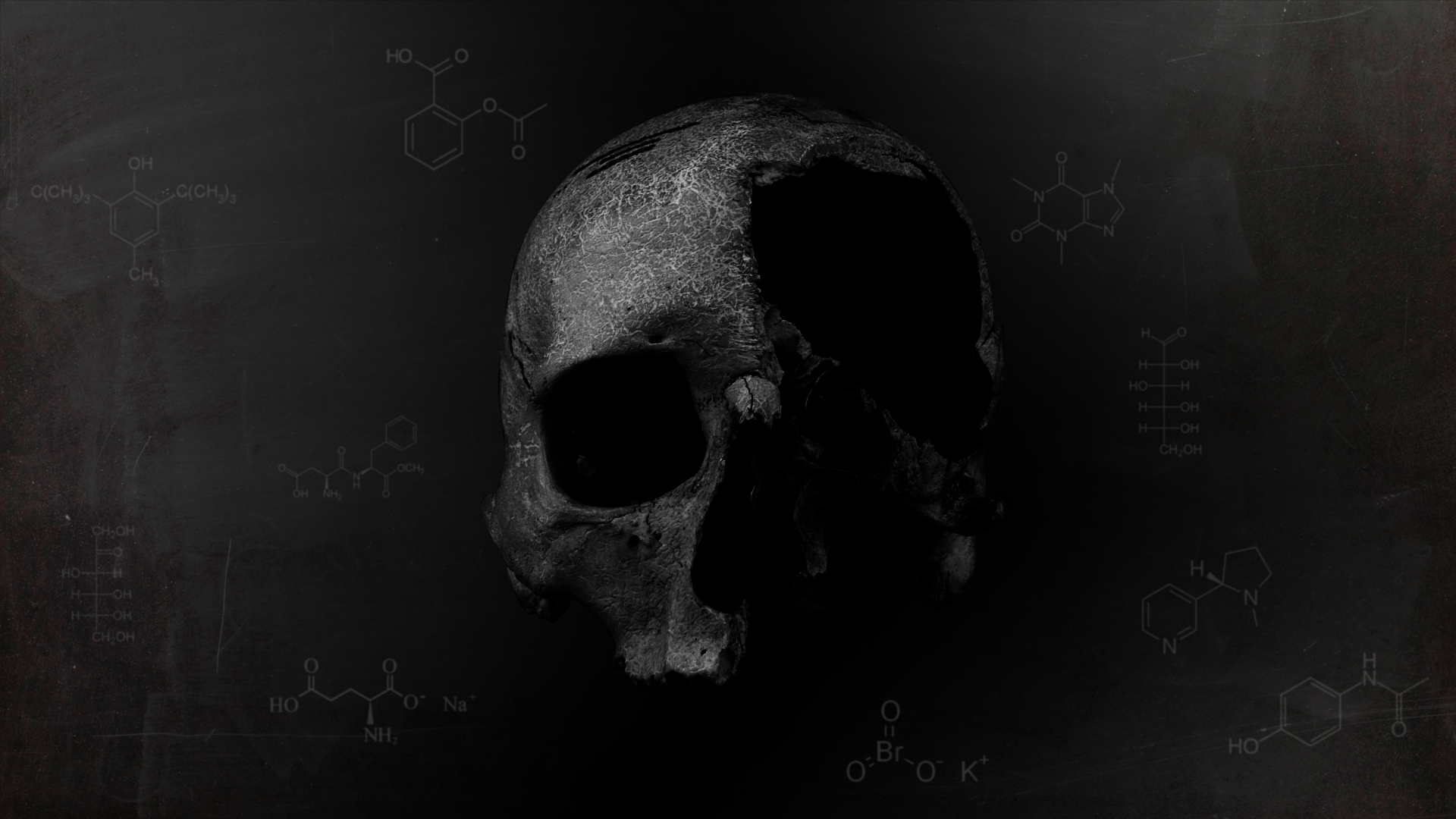 Wallpaper, dark, skull, death, chemistry, head, darkness, 1920x1080 px, computer wallpaper, black and white, monochrome photography, bone 1920x1080