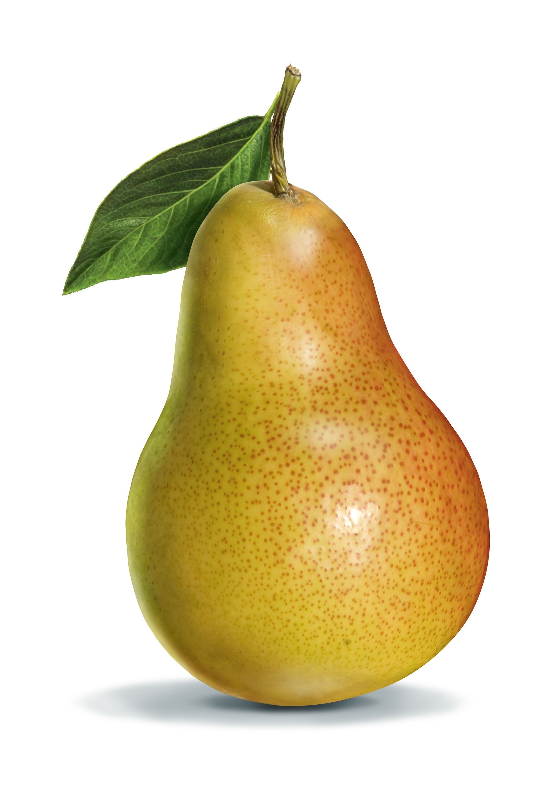 Free download Pear HD Desktop Wallpaper [1920x2715] for your Desktop, Mobile & Tablet. Explore Pear Wallpaper. Kitchen Wallpaper with Grapes, Wallpaper with Fruit, Vintage Fruit Wallpaper
