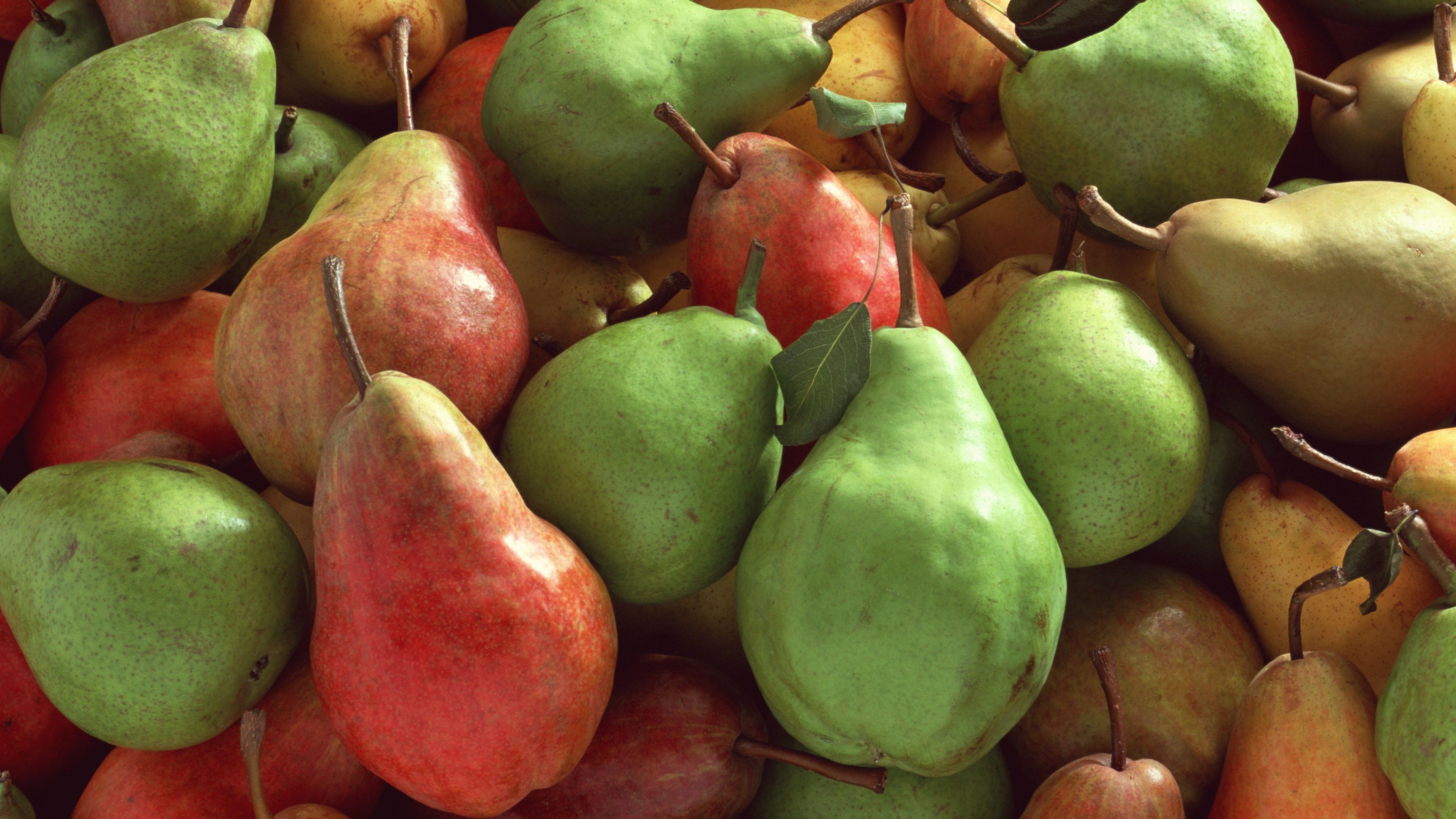 HD Pears Fruit Wallpaper