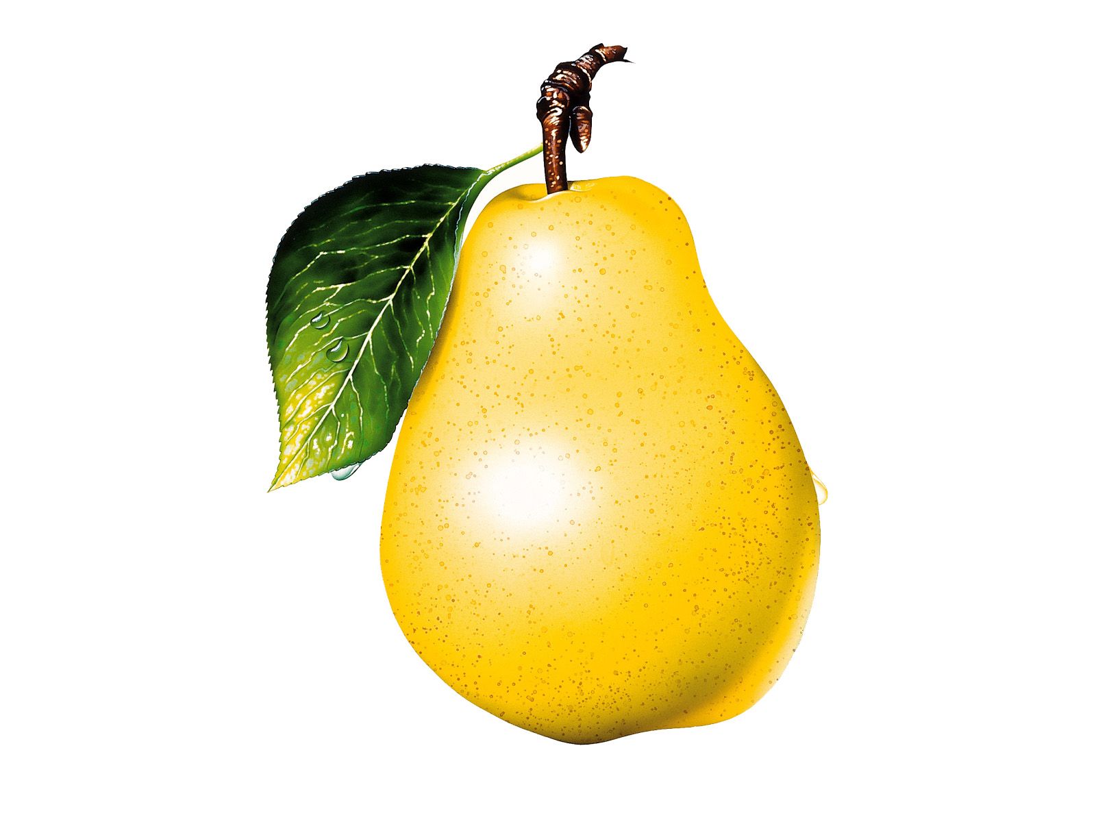 Free Pear Picture, Download Free Pear Picture png image, Free ClipArts on Clipart Library