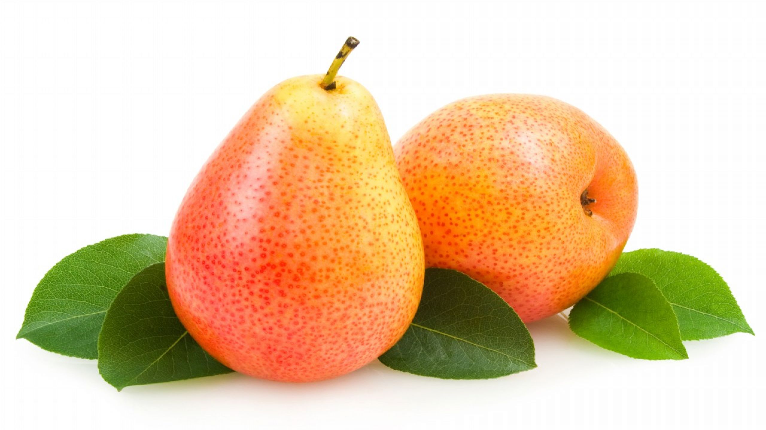 Pics of pears fruit