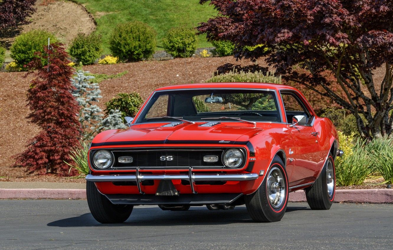 Wallpaper Chevrolet, 1969, Camaro, Chevrolet, Camaro, Yenko, COPO, SC - for desktop, section chevrolet