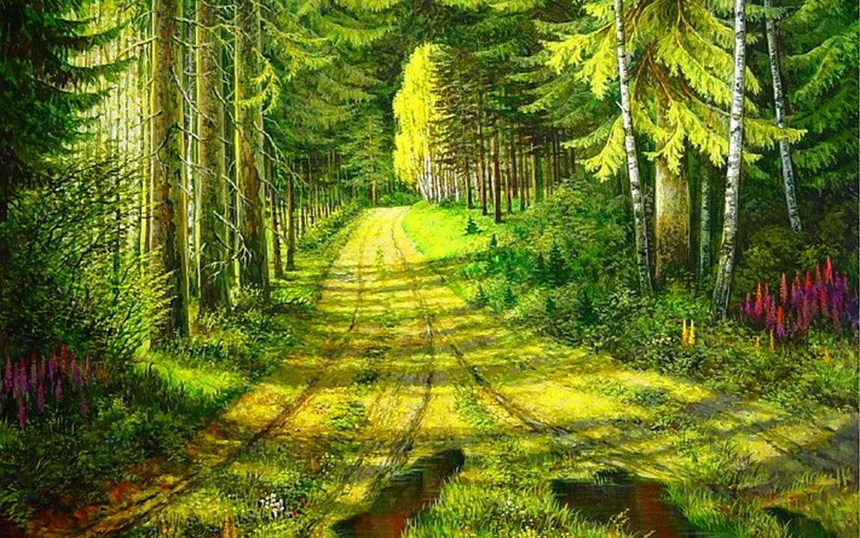 Beautiful Forest Path wallpaperx1050