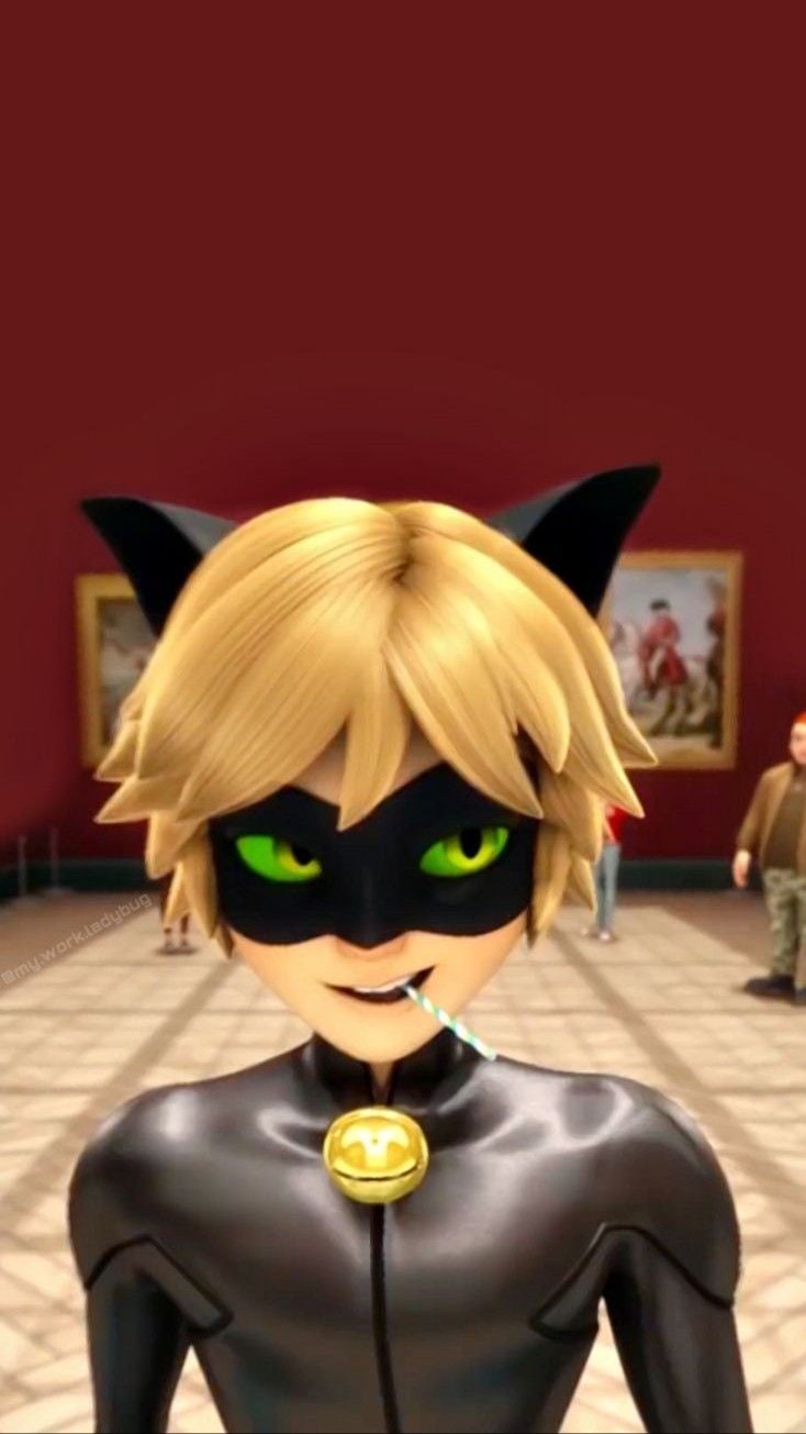 Cat Noir PFP Wallpapers - Wallpaper Cave