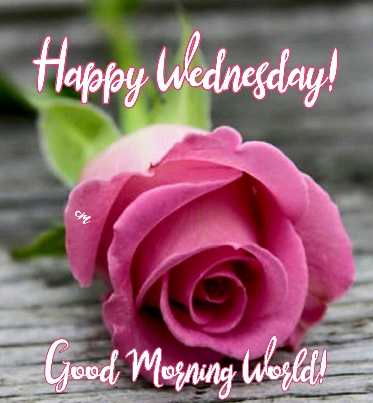 Happy Wednesday! Good Morning World