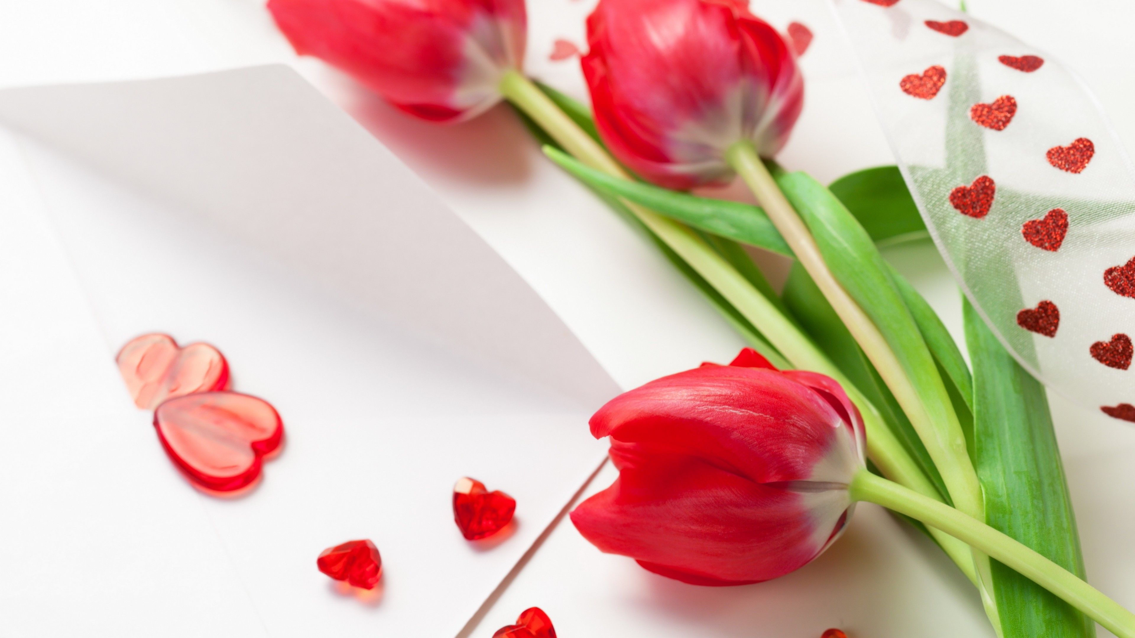 Wallpaper Tulip, 5k, 4k wallpaper, spring, flower, red, heart, Nature