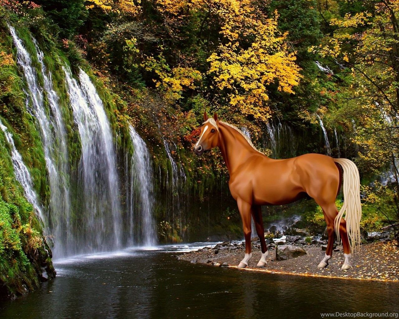 Golden palomino horse HD Desktop Background