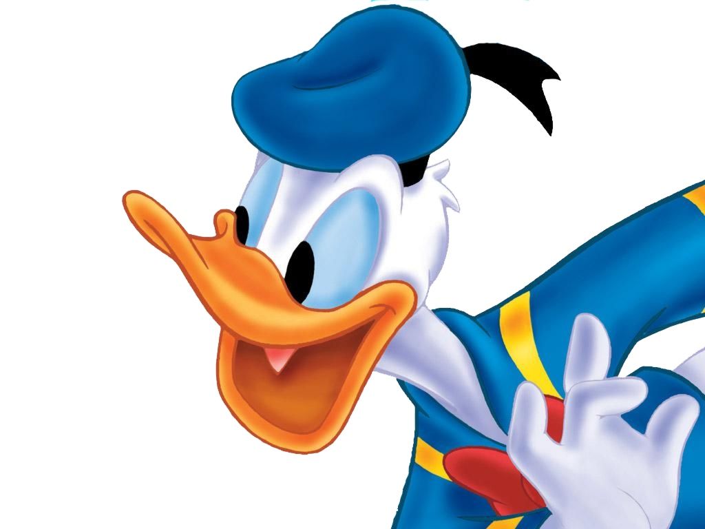 Cartoon Donald Duck wallpaperx768