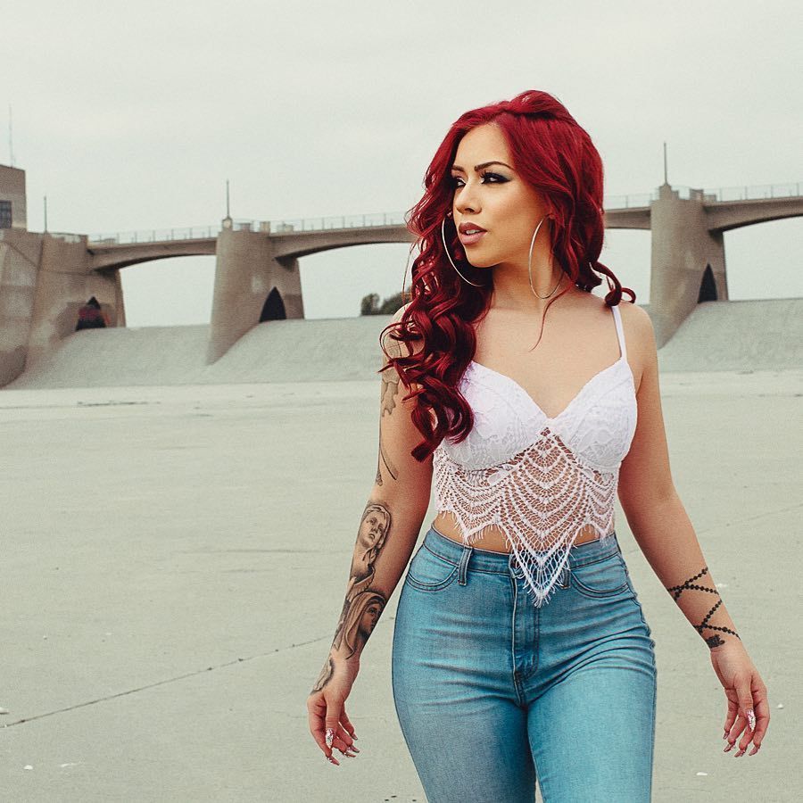 Salice Rose Wallpapers Wallpaper Cave