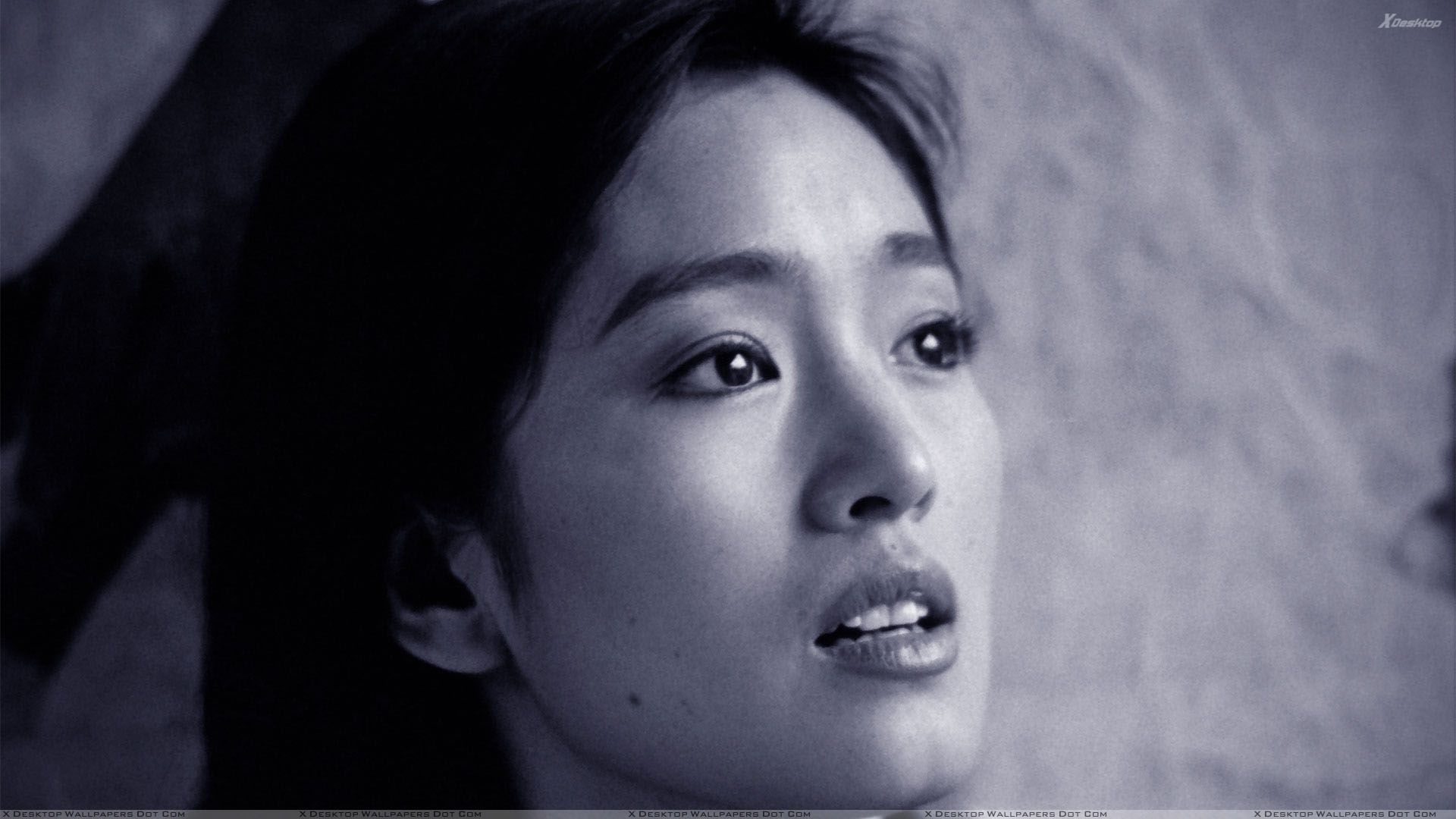 Gong Li Wallpaper, Photo & Image in HD