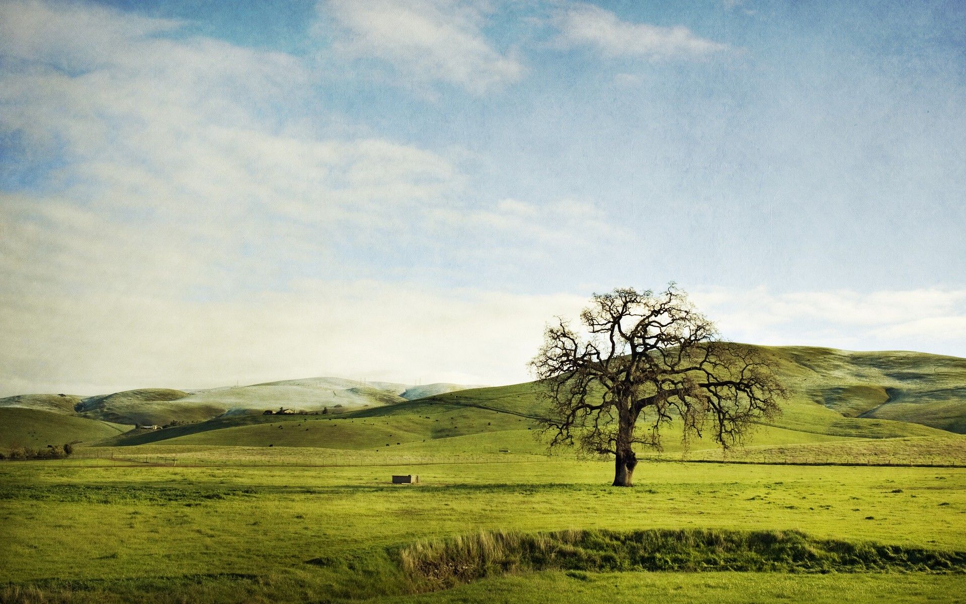 Daily Wallpaper: Rolling Hills. I Like To Waste My Time