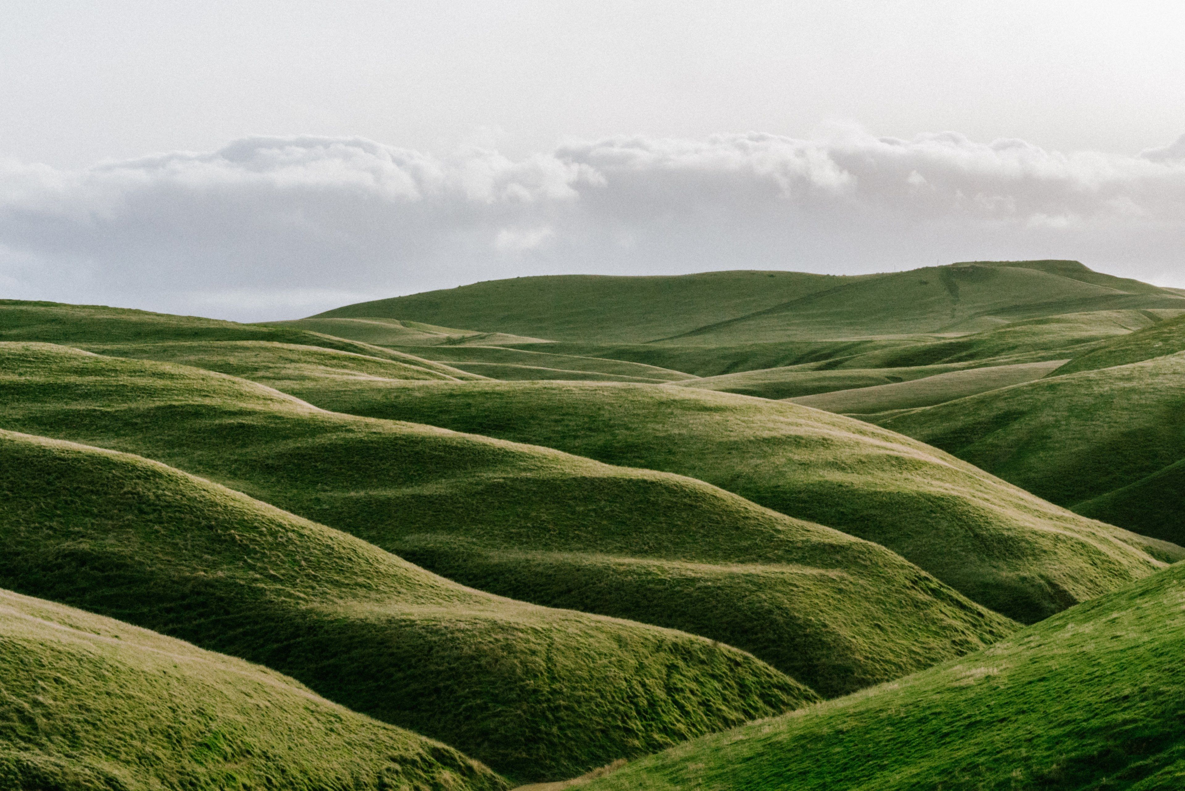 Rolling Hills Of Grass Wallpaper