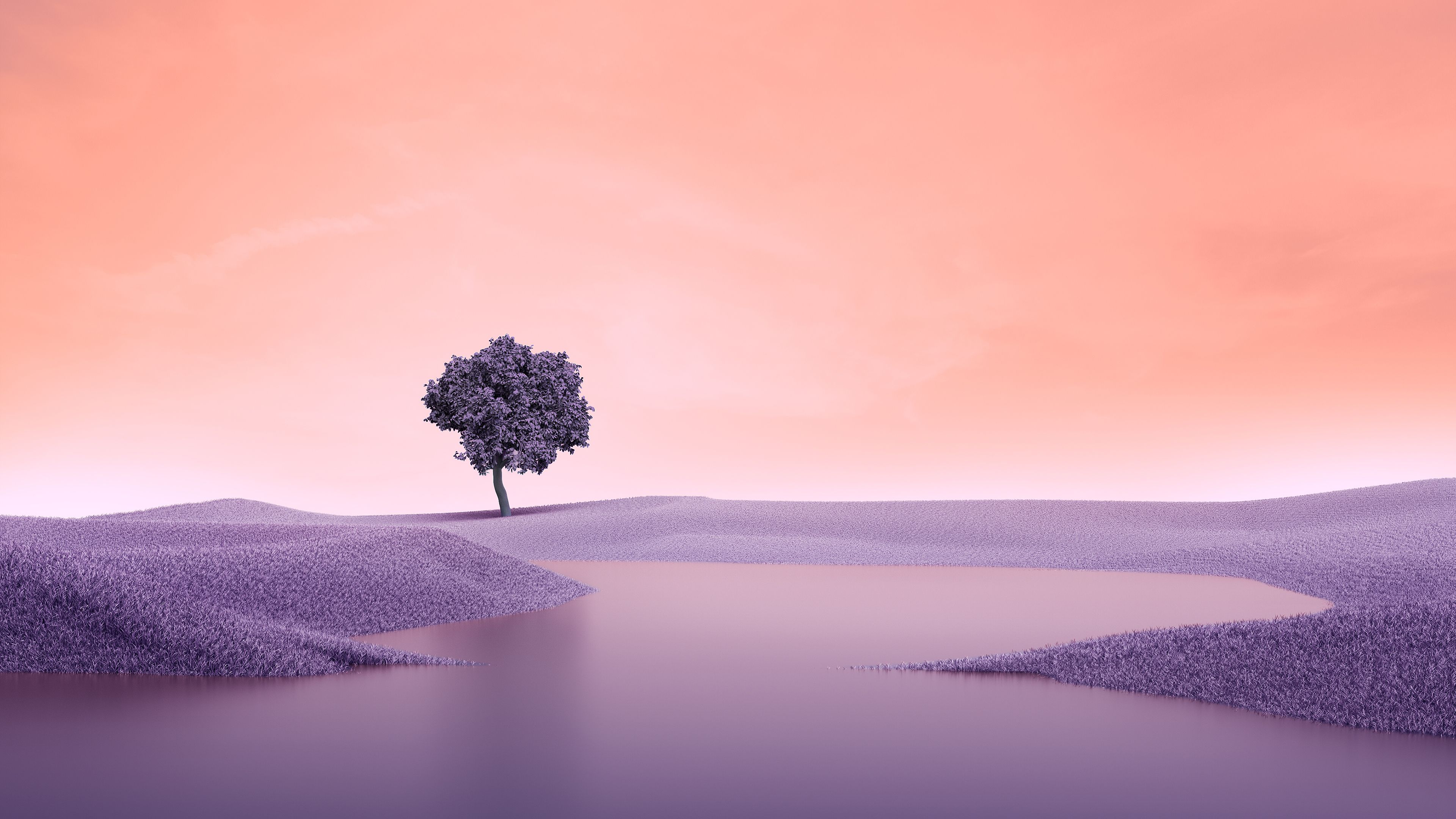 Lone tree, Landscape, Spring, Lake, Surreal, Digital composition, Aesthetic, 4k Free deskk wallpaper, Ultra HD