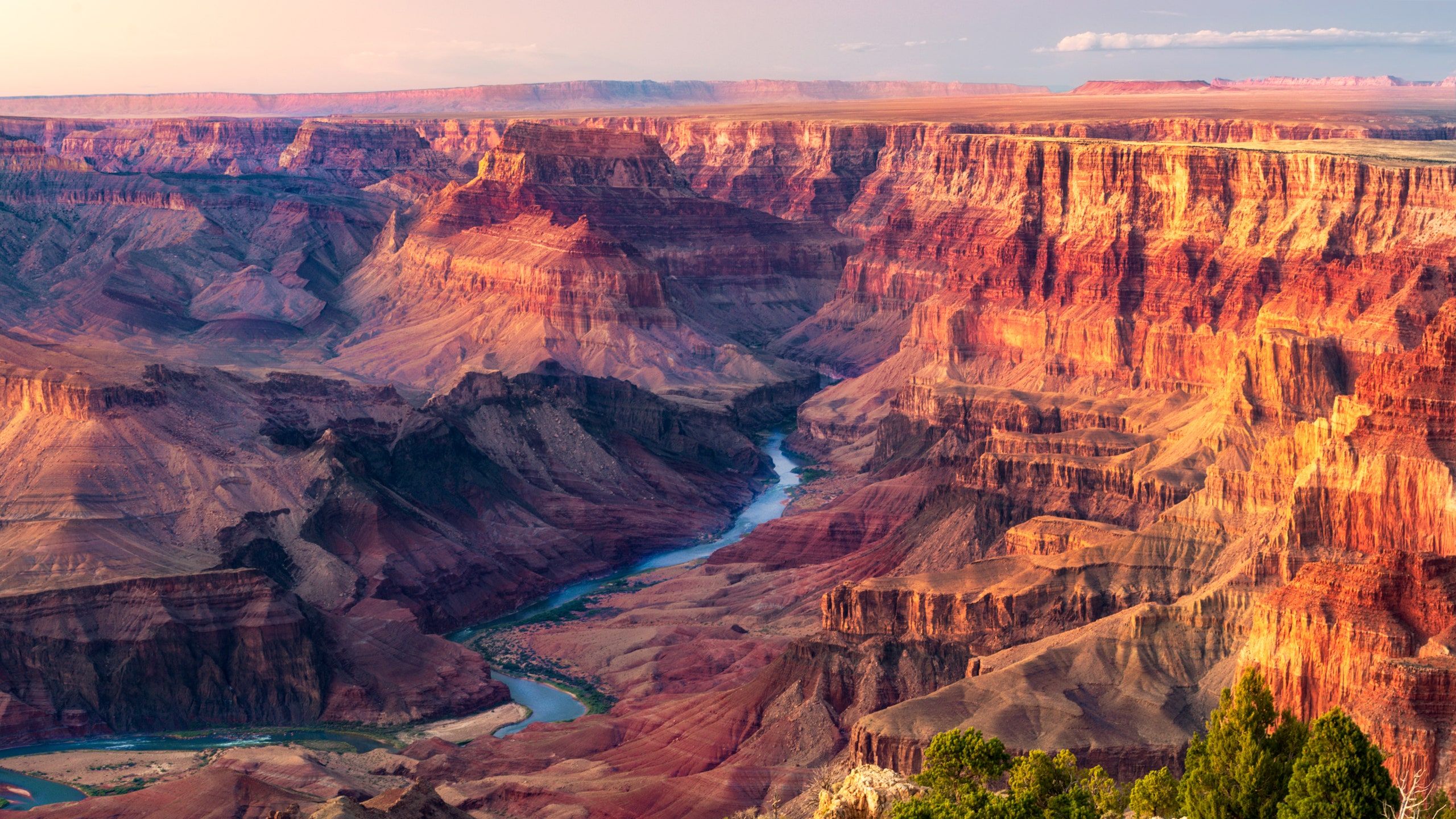 43 Grand Canyon 4k Wallpaper Wallpapersafari - Riset