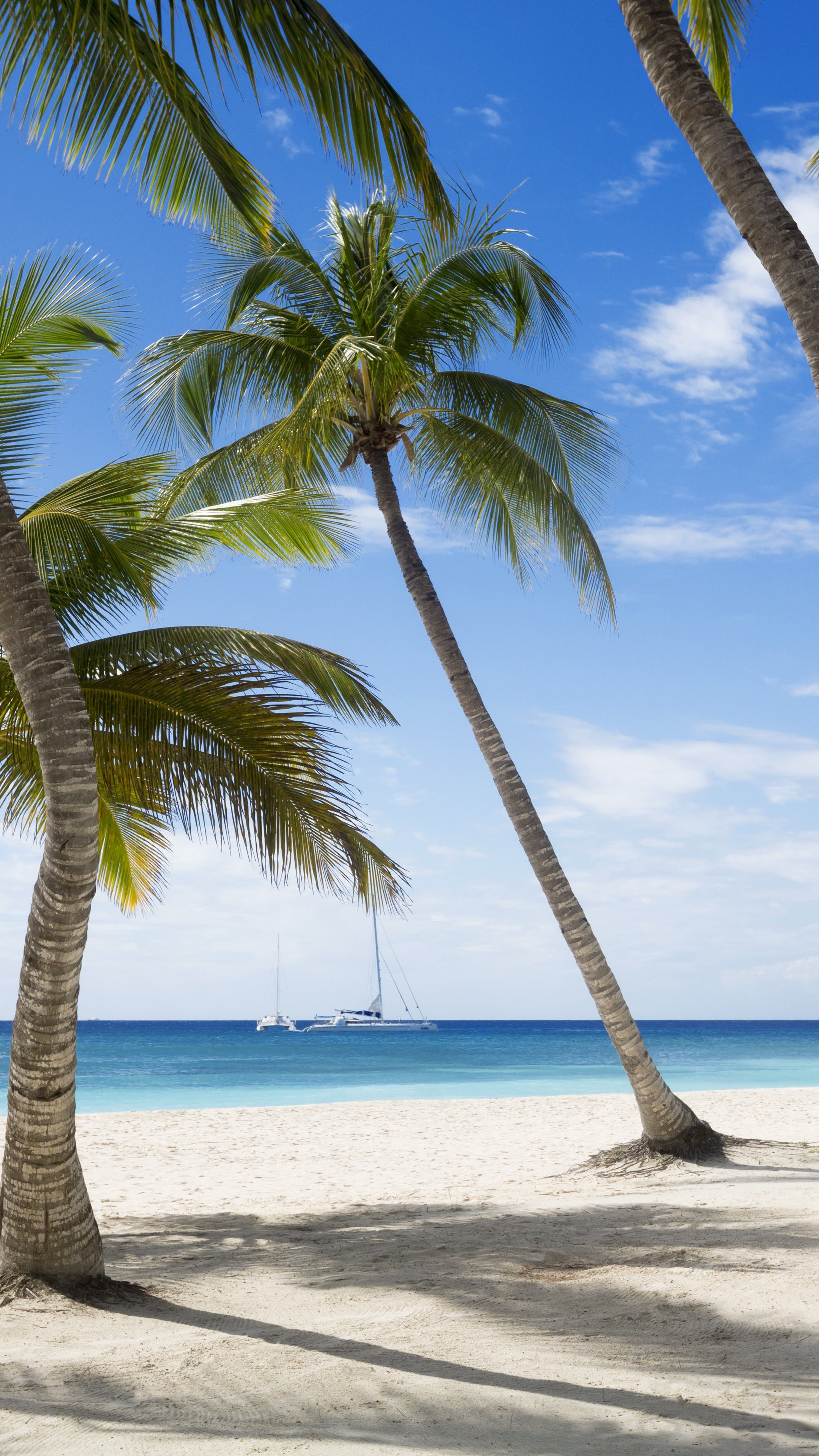 Beach Background Vertical