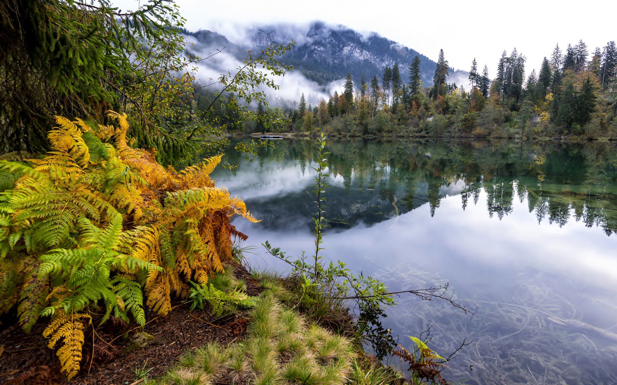 nature, Mountain, Forest, Landscape, Fog, Lake, Ultrahd, 4k, Wallpaper HD / Desktop and Mobile Background