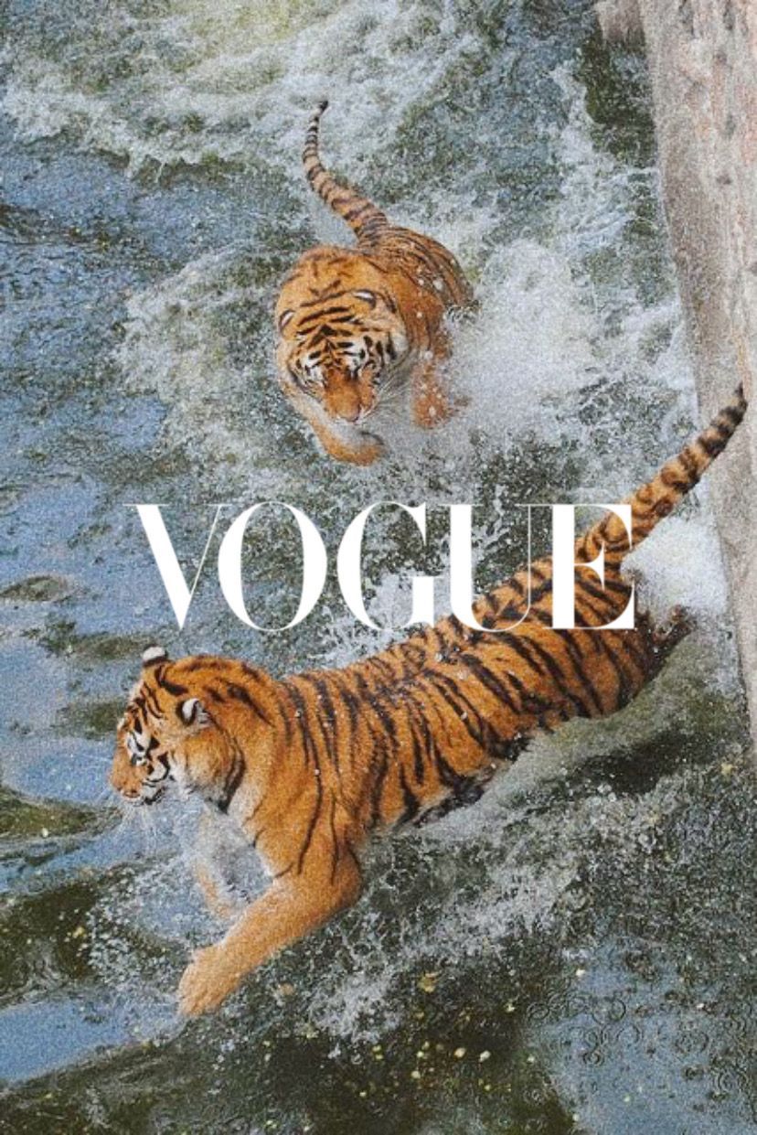 tiger x vogue. Art collage wall, Picture collage wall, Aesthetic collage